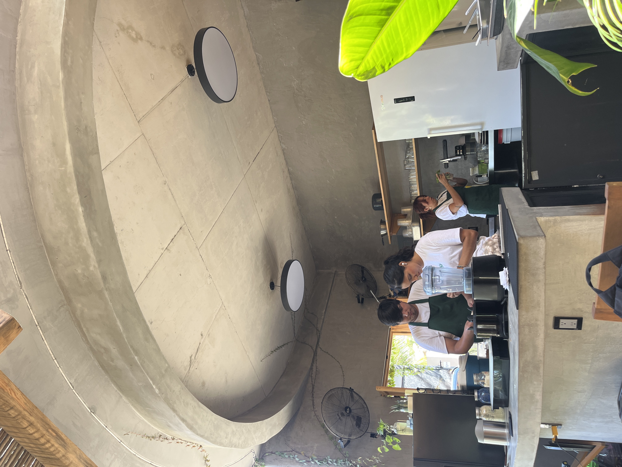 The image shows the interior of a bar or restaurant in Puerto Escondido, Mexico. The ceiling is made of concrete and has a large curved design. Two circular lights are attached to the ceiling. There are two people working behind the counter. One person is wearing a white t-shirt and a green apron, and they appear to be operating a blender. The other person is wearing a white t-shirt and a green apron and is holding some green leaves. There is a refrigerator and various jars and containers on the counter. Two fans are attached to the wall. A large green plant is in the foreground.