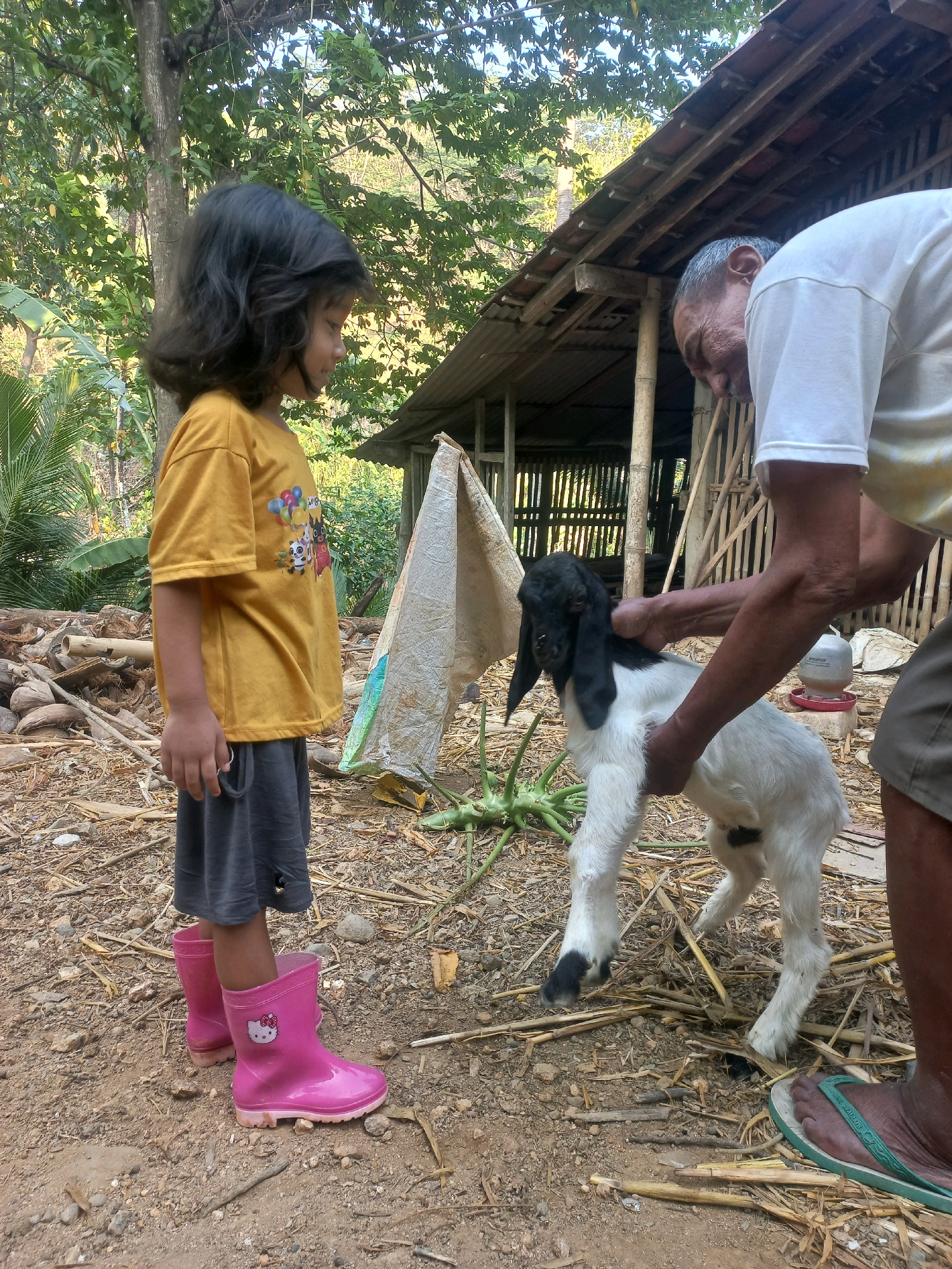 In Sukoharjo, Indonesia, a young child wearing a yellow t-shirt and grey shorts stands on dry, dirt ground. The child wears pink Hello Kitty boots. To the child's right, an older person, partially visible, holds a young goat. The goat is white with a black head and long black ears. The background shows a simple, rustic structure with a corrugated metal roof and bamboo supports, surrounded by trees and foliage. Debris, including dried leaves and twigs, is scattered across the ground. The overall scene depicts a rural or semi-rural setting.