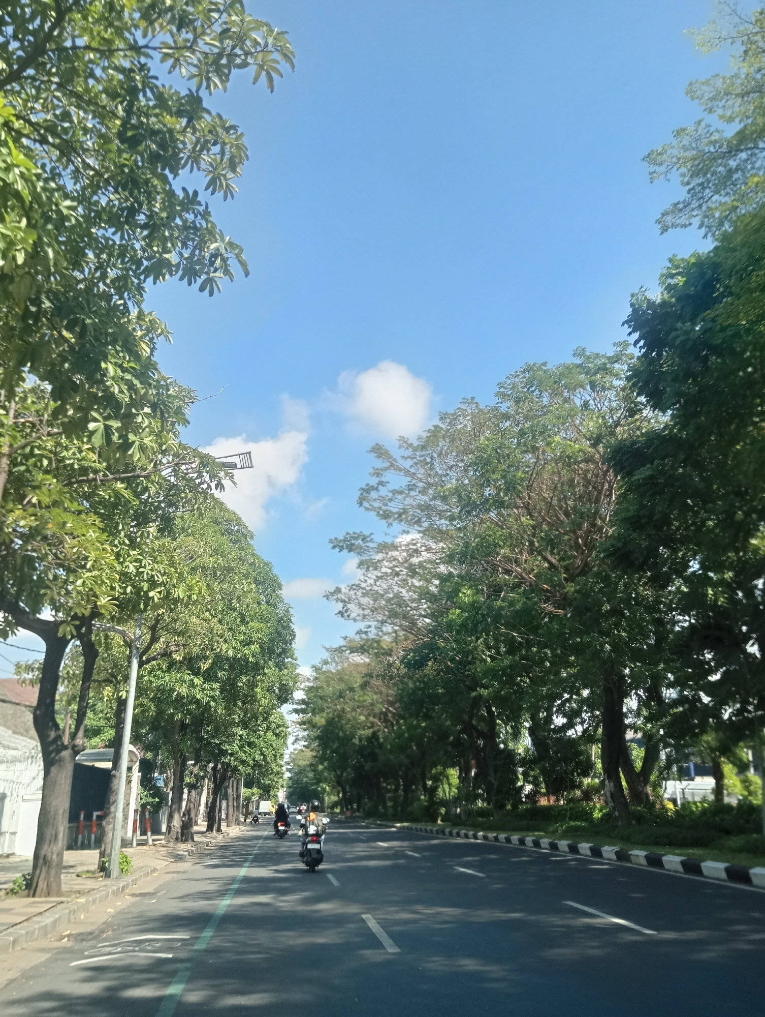 This is a photograph of a street scene in Surabaya, Indonesia, on a clear day with a bright blue sky and scattered white clouds. The perspective is from a vehicle moving along a multi-lane asphalt road lined with mature trees on both sides, creating a canopy effect. On the left side of the road, a sidewalk with some landscaping and a white building with a gray roof are visible. On the right, the trees continue to line the road, with a black and white striped curb separating the road from a grassy area. Several motorbikes are being ridden on the road, with two prominently visible in the foreground and middle distance. The lighting suggests it is daytime, casting shadows from the trees onto the road.