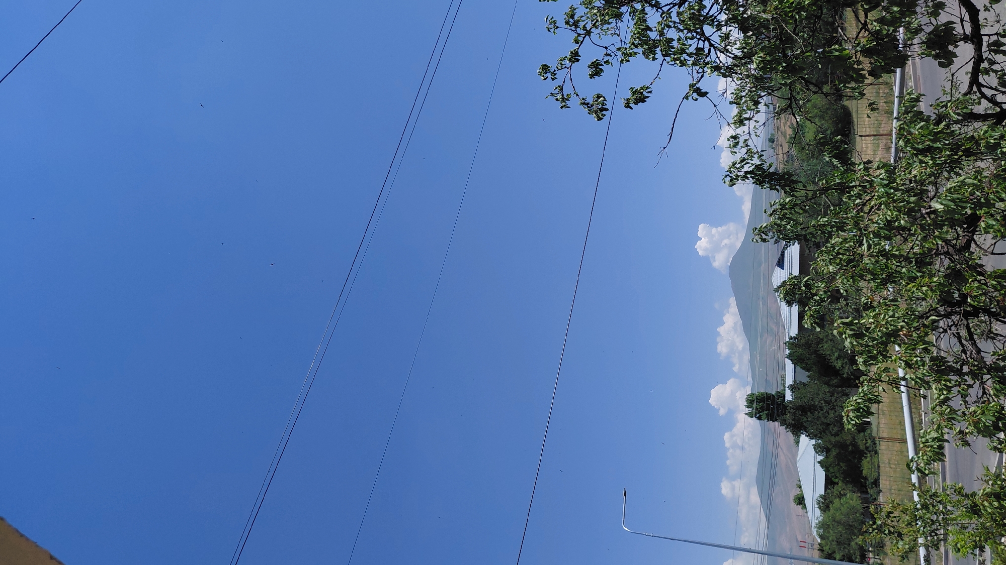 A daytime, eye-level, medium-shot captures a clear blue sky with scattered clouds above a distant mountain range. In the foreground, trees with green foliage partially obscure a view of buildings and a road. A streetlamp is visible on the left side of the image, and power lines crisscross the sky. Several small dark objects are scattered across the sky, possibly birds or insects. The scene appears to be an outdoor environment, likely in a suburban or semi-urban area, based on the presence of buildings and infrastructure. The lighting suggests a sunny day. The image provides a static view of the landscape and its components without any discernible human activity or interaction.