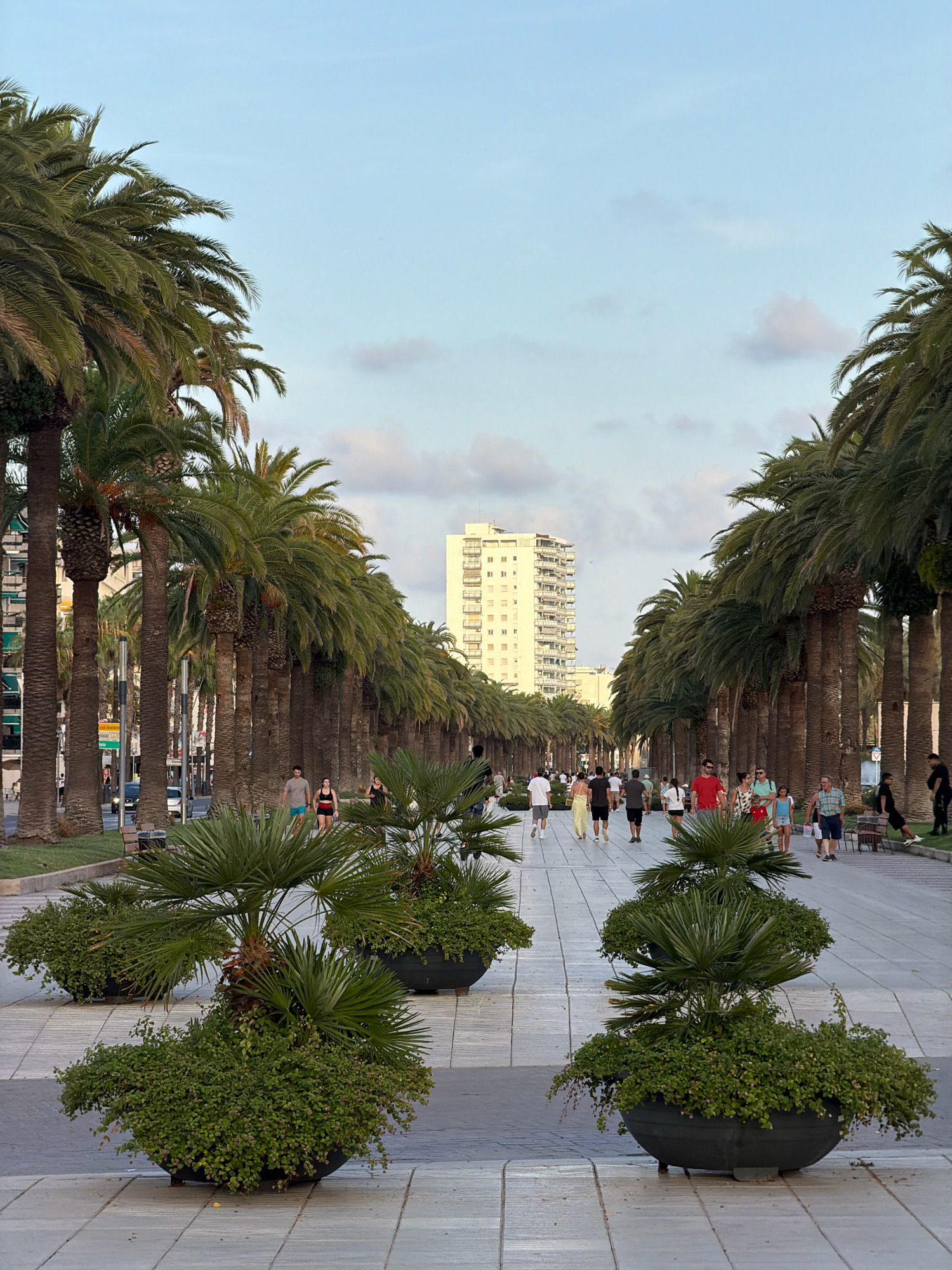 A wide, paved promenade lined with tall palm trees extends into the distance under a pale blue sky with scattered clouds. The promenade is populated with people strolling in both directions. In the foreground, large, dark planters contain lush green foliage and smaller palm trees. Beyond the palm trees on the left, a multi-story building with many windows is visible, and further in the background, a tall, white high-rise building stands out against the sky. On the right side of the promenade, benches are visible, and more people are walking. The scene suggests a pleasant, leisurely atmosphere in a coastal city. This is a view of the Passeig Jaume I in Salou, Spain.
