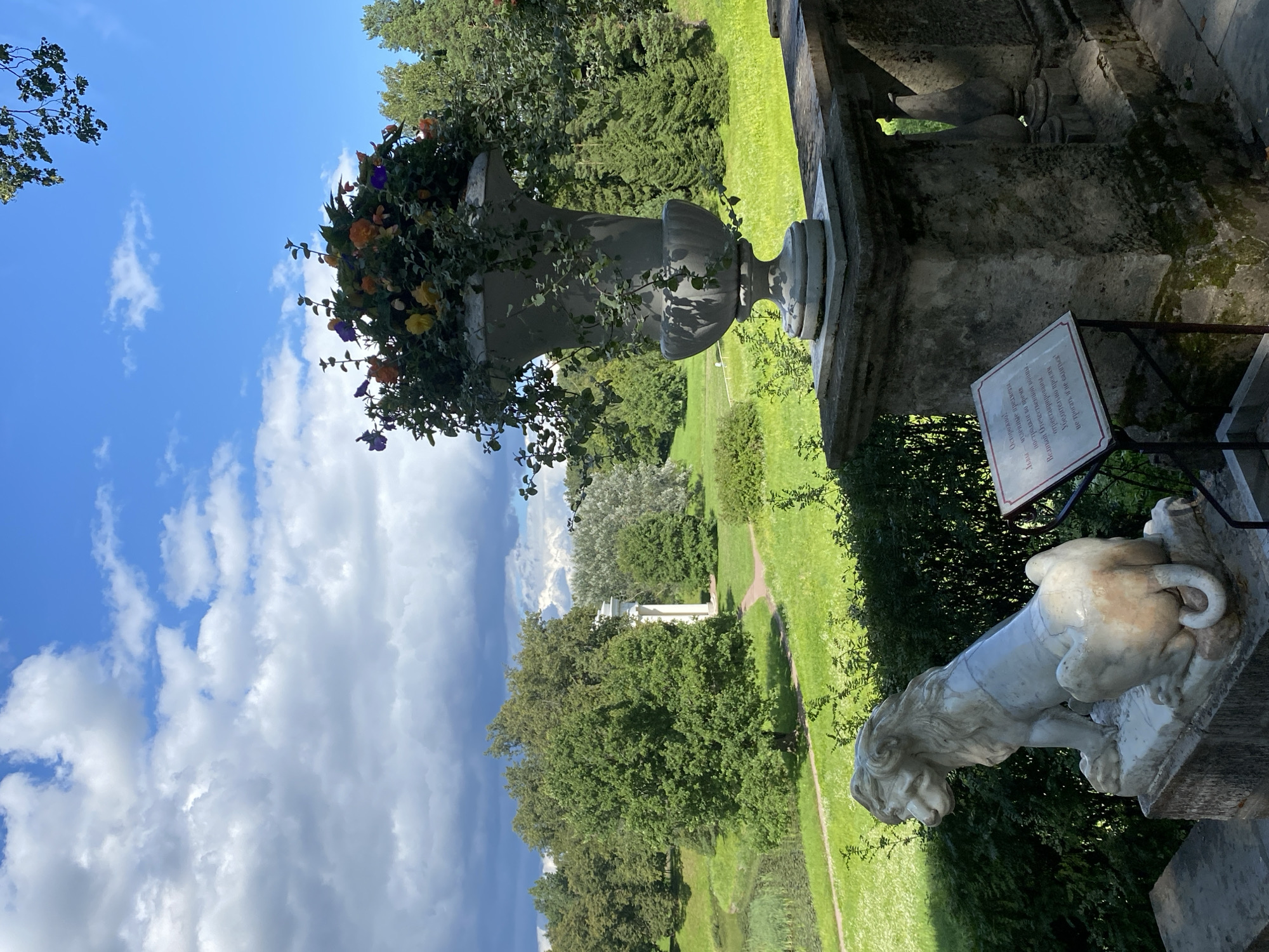 A marble lion statue sits on a stone pedestal, facing left, overlooking a lush green park in Pavlovsk, Russia. The statue is positioned on a tiered stone staircase, partially obscured by dark green bushes. To the right of the statue, a sign with Cyrillic text is mounted on a metal stand. Further in the background, a large, ornate stone vase overflows with colorful flowers, placed on a stone balustrade. Beyond the vase, a rolling green landscape stretches towards a treeline. In the distance, a white classical structure with columns is visible amidst the trees. The sky above is a vibrant blue, dotted with fluffy white clouds, and a branch with green leaves hangs from the upper right corner of the frame.