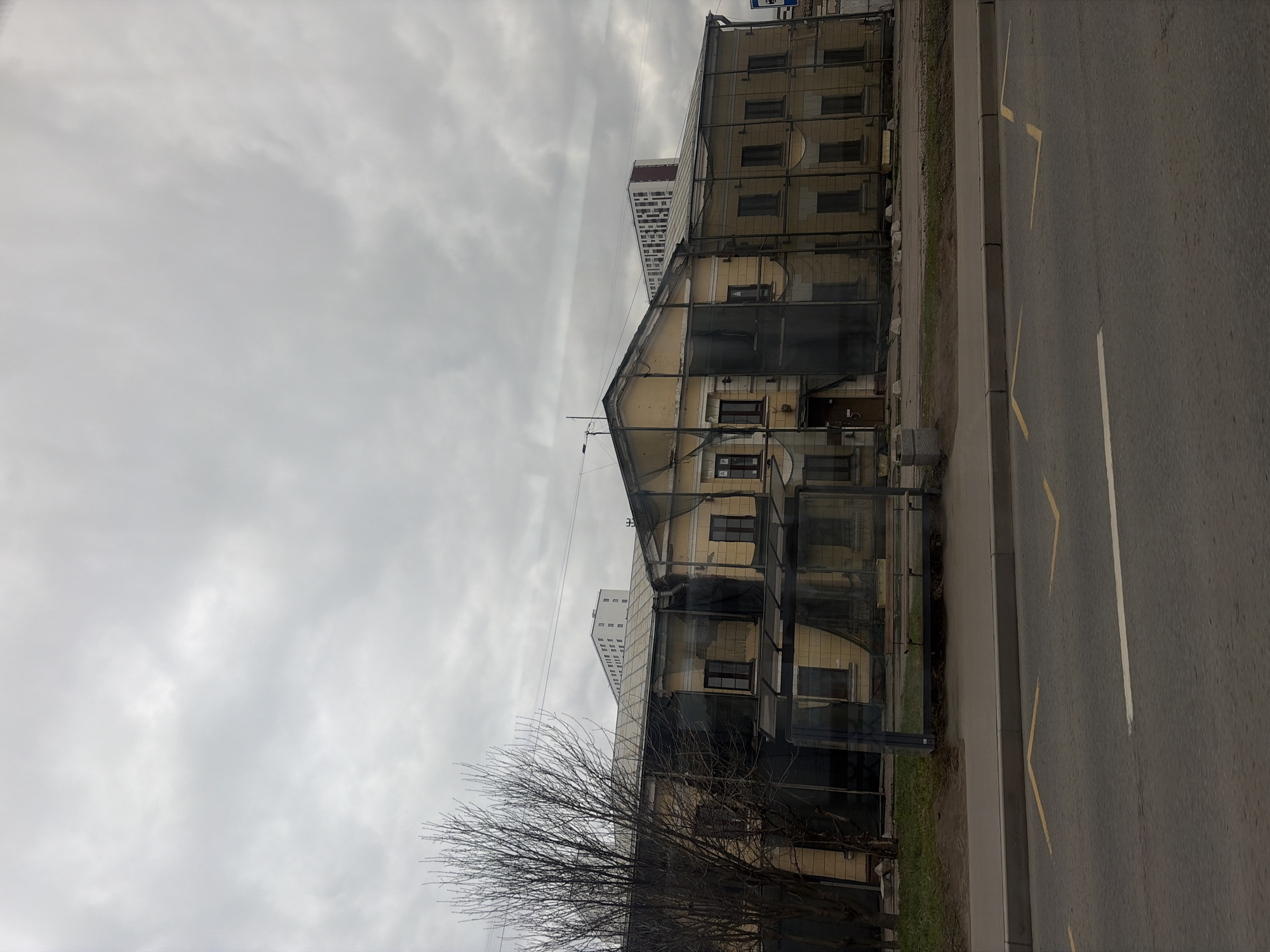 The image depicts a street scene in Saint Petersburg, Russia, on an overcast day. A three-story building is visible, covered in protective netting. A bare tree stands in front of the building, suggesting it is late autumn or winter. The road to the right has yellow and white lane markings. A taller building is visible in the background. The environment is urban, with signs of infrastructure like power lines above the building.
