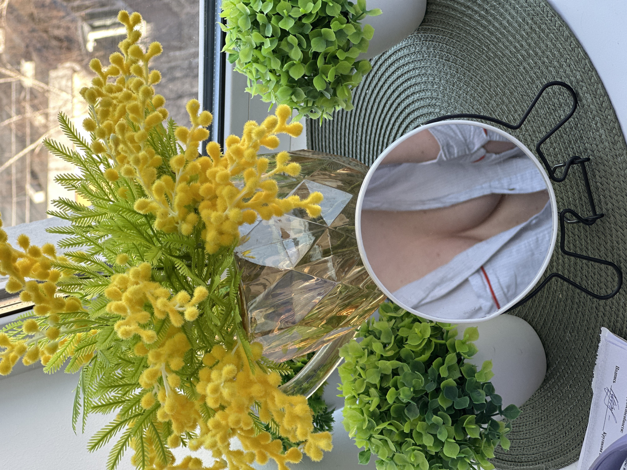 The image depicts a still life arrangement on a surface near a window. Yellow mimosa flowers are prominently displayed in a clear, faceted vase. Green potted plants are arranged around the vase. A round mirror with a black metal stand reflects a partial view of a person's upper chest, including the clavicle and the top of a white shirt with a red stripe. The background visible through the window indicates an urban environment. Text in Russian is visible on a document, indicating the location is likely Kazan, Russia.