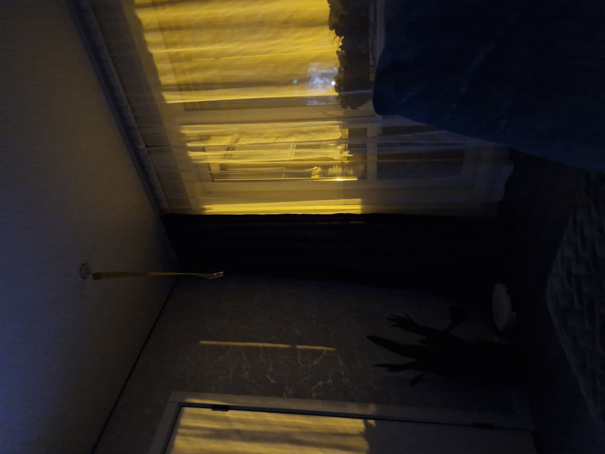 The image depicts an interior scene, likely a living room, at night or in low light conditions, illuminated by a bright yellow light source from outside, possibly streetlights or illuminated buildings.
The room features a window covered by sheer white curtains and heavy dark curtains to the side. The yellow light filters through the sheer curtains, creating a warm glow and casting shadows on the wall. A strip of what appears to be tape or paper hangs from the ceiling.
On the left side of the image, a door frame is visible, and a light reflection streaks down the textured wall. In the foreground, a dark silhouette of a plant or a decorative object is cast on the wall. A circular object, possibly a coaster or a small dish, is on the floor near the plant. The lower right portion of the image shows a dark blue upholstered furniture item, possibly a sofa or armchair, in the foreground. The floor appears to be covered with a rug or carpet with a patterned texture.
The location is identified as Kemerovo, Russia. The scene suggests a domestic setting, possibly a residential apartment. There are no people visible in the image. The overall mood is somewhat atmospheric and potentially eerie due to the strong lighting and shadows.