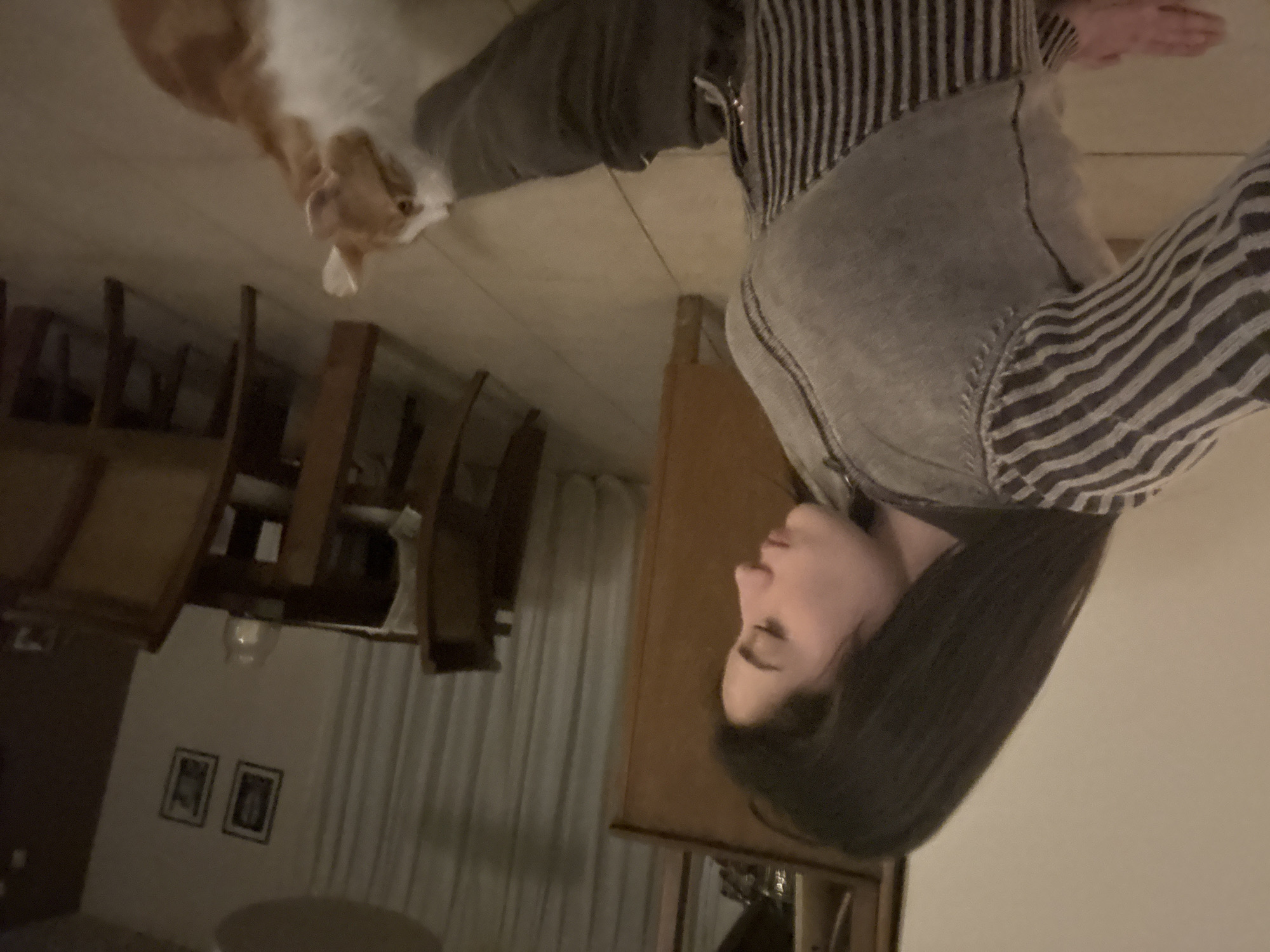 A woman with long, dark hair is wearing a striped shirt, gray vest, and dark pants. She is on a tiled floor, with a ginger and white cat positioned near her. Behind her are dining chairs, curtains, and a cupboard. The location is indoors, likely in a private residence. The image does not provide enough information to determine if this is in Trelew, Argentina.