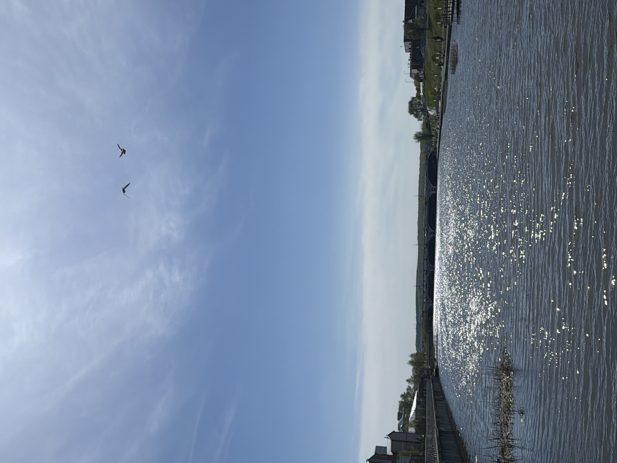 The image depicts a body of water reflecting sunlight, with buildings and vegetation along the shoreline. Two birds are flying in the blue sky. The scene is likely located in Votkinsk, Russia, based on the assumption that the image was taken there. A bridge is visible in the distance. The water surface is textured by ripples. The environment appears to be a combination of natural and urban elements.
