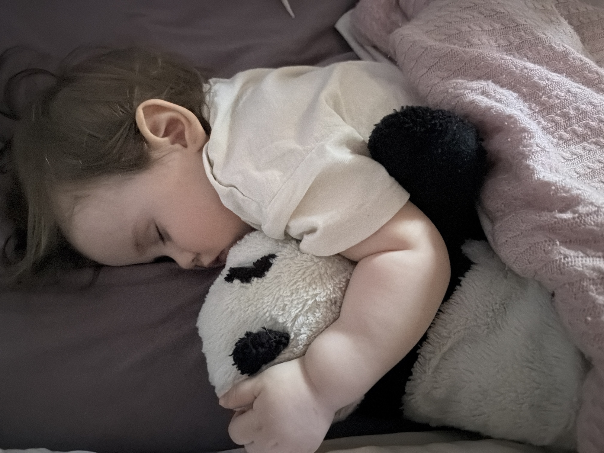 A young child is asleep, lying on a gray-colored bedsheet and hugging a stuffed panda toy. The child is wearing a light-colored shirt. A pink knitted blanket is partially covering the child and the panda. The location is unknown and not evident from the image.