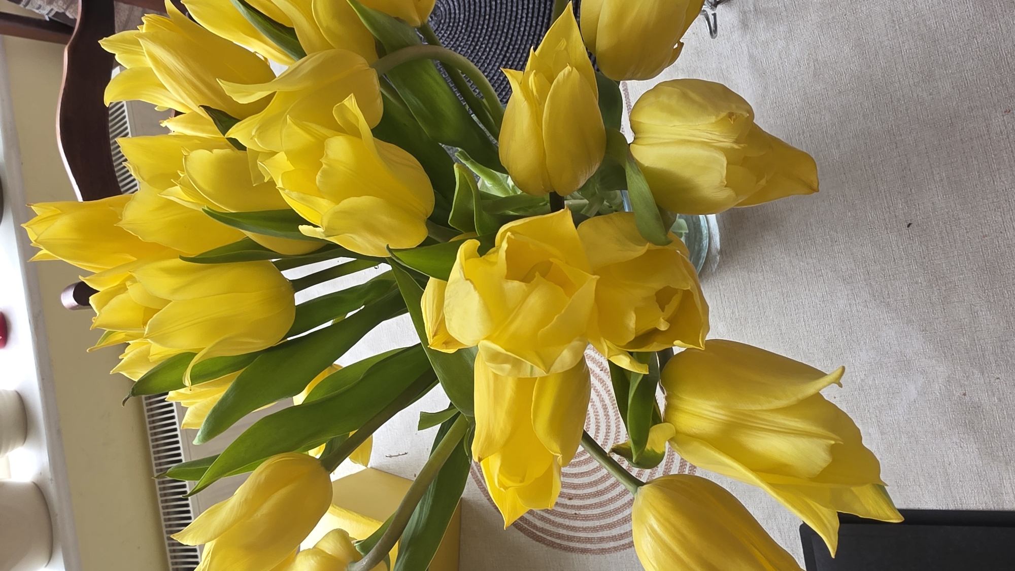 A bouquet of bright yellow tulips is displayed in a glass vase on a patterned tablecloth. The tulips are the primary focus, with their vibrant petals and green leaves filling most of the frame. The vase is partially visible at the bottom right of the image. The background includes a radiator, a window sill with some objects, and a wooden chair. The overall setting appears to be indoors, possibly a home environment.
