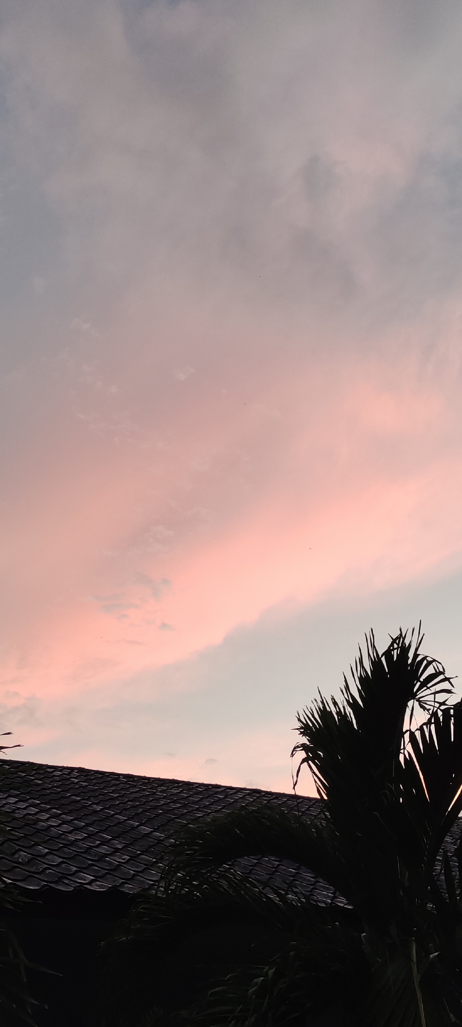 The image captures a serene sunset over the city of Lhokseumawe, Indonesia. The sky is painted with soft hues of pink and pale blue, with wispy clouds scattered across the expanse. In the foreground, the dark silhouette of a tiled roof is visible, suggesting a residential area. To the right, a cluster of palm fronds, also in silhouette, adds a tropical feel to the scene. The overall impression is one of tranquility and natural beauty as day transitions into night.