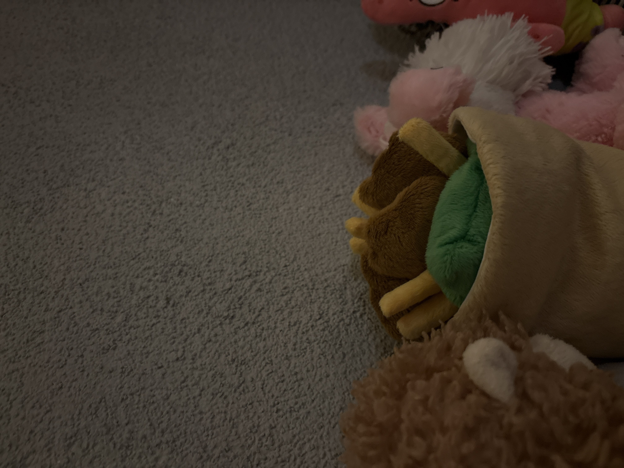 The image shows a collection of stuffed animals on a gray carpet. A stuffed burrito is visible in the foreground, containing brown, green, and yellow plush fillings. Other stuffed animals, including a pink animal and a brown bear, surround the burrito. The location in Panagyurishte, Bulgaria is not discernible from the image.