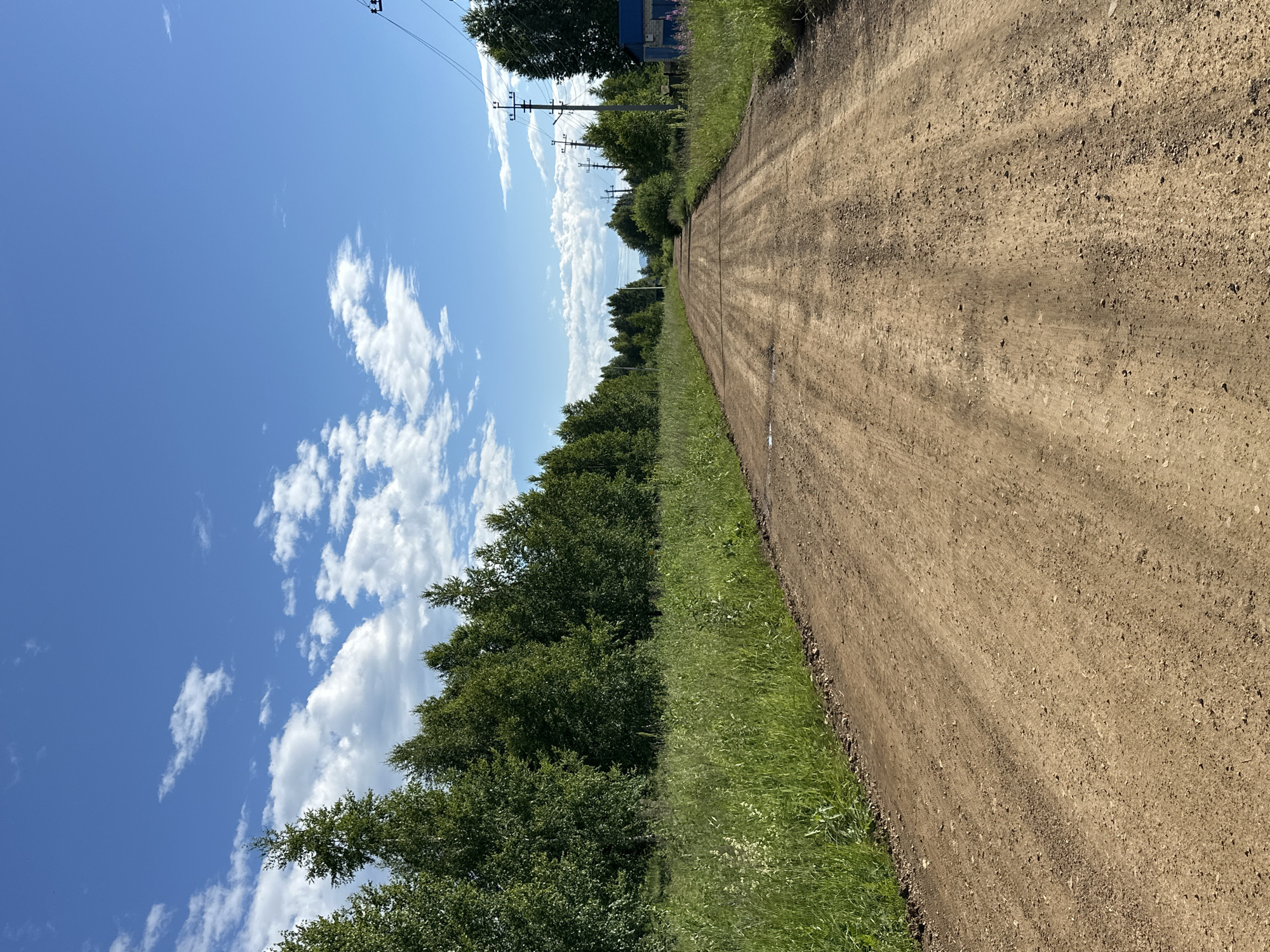 A dirt road stretches into the distance, bordered by lush green grass and a dense line of trees on the left. The sky above is a vibrant blue, dotted with fluffy white clouds, suggesting a clear and sunny day. Power lines and poles are visible along the edge of the trees, hinting at a rural or semi-rural setting. The road itself appears somewhat rough, with visible tire tracks and scattered stones. The perspective is low, as if taken from ground level, looking up towards the sky and along the road. The overall impression is one of a peaceful, natural landscape on a pleasant day. There is no discernible activity or event taking place, and no people or animals are visible. The time of day appears to be daytime, likely mid-morning or afternoon, given the bright sunlight casting shadows. There is no visible text in the image.