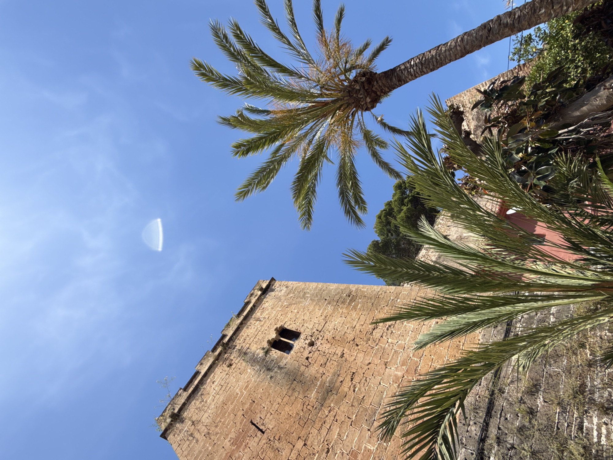 The image captures a low-angle view of a stone tower in Dénia, Spain, possibly part of the Castillo de Dénia (Dénia Castle). The tower is constructed from light-brown stones and features a small window opening near the top. The sky is a clear, vibrant blue with a lens flare in the upper-left corner. A palm tree with green fronds frames the top and right side of the image. Other vegetation and a reddish-colored wall adjoin the tower on the right, indicating the presence of gardens or other structures within the castle grounds.