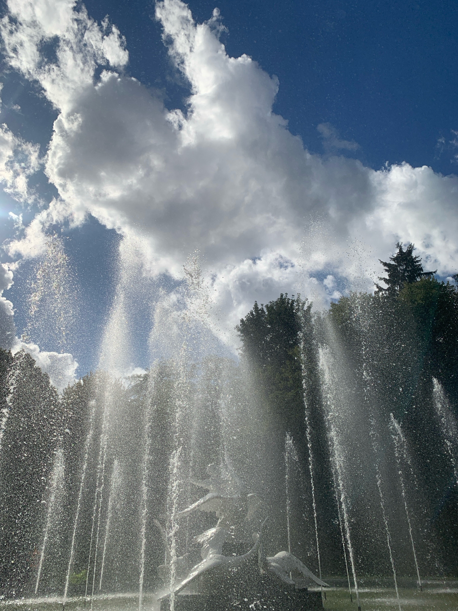 A vertical, low-angle shot captures a sunlit fountain spraying water against a bright blue sky filled with dramatic, puffy white clouds. The water jets are dense and create a shimmering, translucent curtain in the foreground. Partially obscured by the water spray, a white sculpted figure, possibly mythological, can be seen at the base of the fountain. Behind the fountain, a dense line of trees forms a dark green backdrop, with a tall evergreen tree visible on the right. The overall impression is one of a vibrant and dynamic natural scene, likely a public park or garden. This fountain is located in the St. George's Cathedral complex in Lviv, Ukraine.