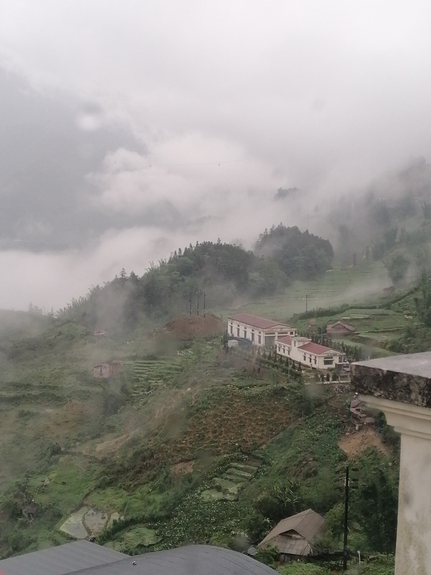 The image shows a landscape in Sa Pa Ward, Vietnam, characterized by a mountainous terrain with lush green vegetation. Rice terraces are visible, carved into the hillsides. The area is shrouded in mist and low clouds, creating an atmospheric perspective. Buildings with red roofs are scattered throughout the scene. Power lines are also visible. The picture appears to be taken from an elevated position, possibly a building.
