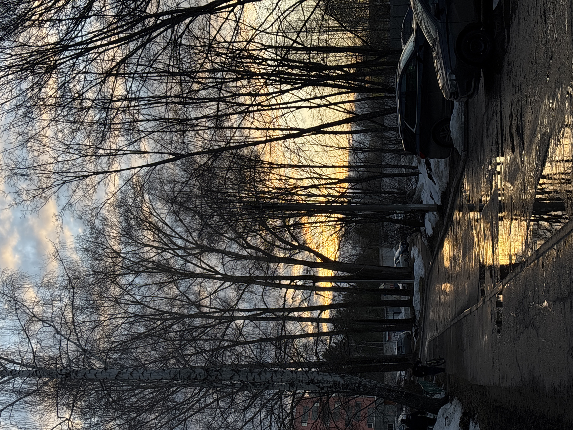 The image depicts a street scene in the city of Chaikovsky, Russia. Leafless trees line the road, their branches silhouetted against a sky with hints of sunset. The sun is visible between the trees. Cars are parked along the side of the street. The road surface appears wet. Patches of snow are visible. Buildings are visible in the background.