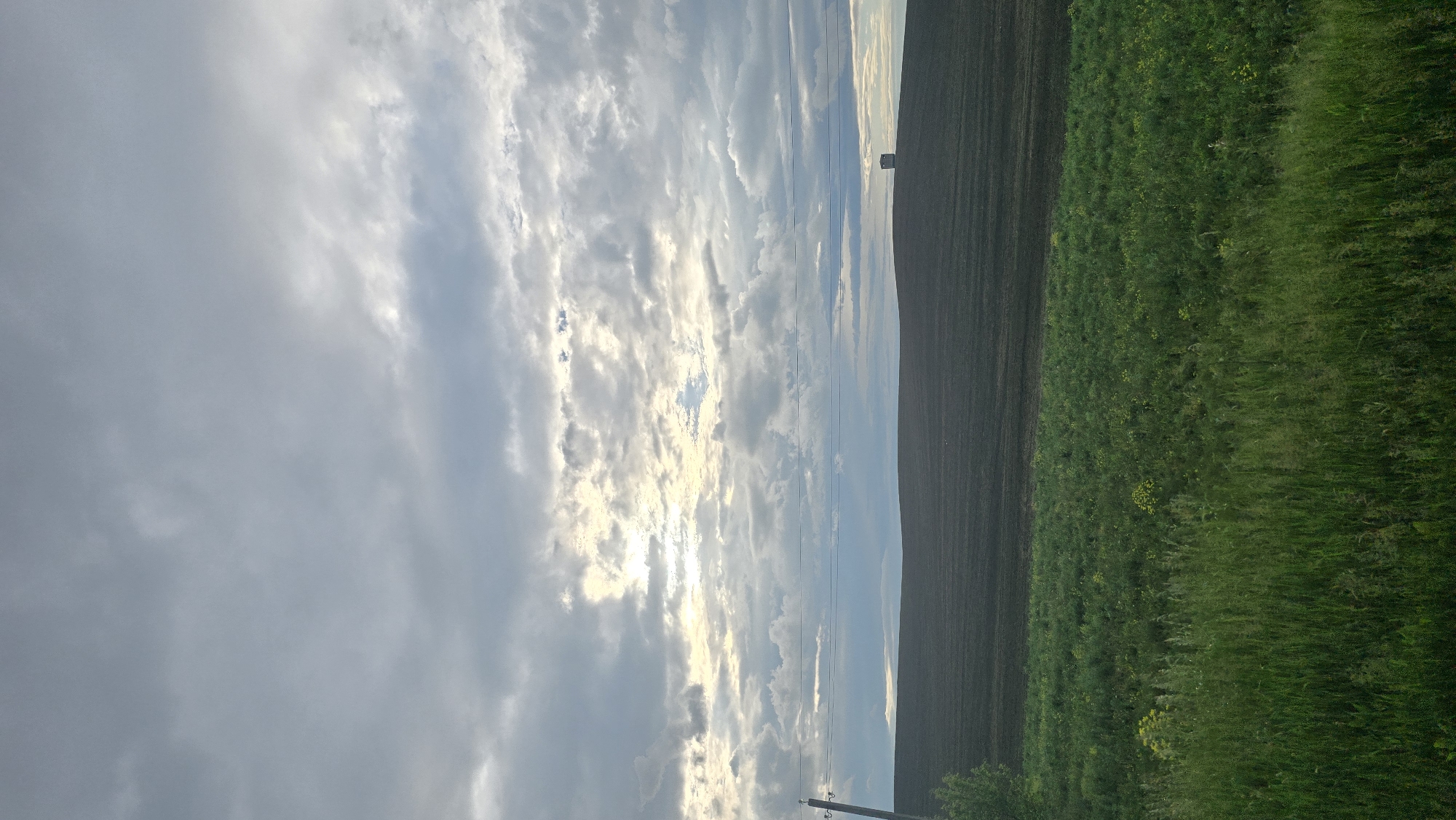 The image displays an expansive agricultural landscape, reportedly located in Leninogorsk, Russia, under an overcast sky. The foreground features a dense strip of uncultivated green vegetation, predominantly tall grasses, interspersed with plants exhibiting small yellow flowers. Immediately beyond this, a wide, dark brown field, consistent with tilled or fallow agricultural land, extends towards the horizon, displaying faint linear patterns across its surface.
On the far right of this tilled field, situated on a gentle rise, a small, light-colored, rectangular structure, resembling a utility shed or a hunting blind, is clearly visible against the horizon. To the left, a utility pole with multiple horizontal power lines is positioned, with a portion of a green tree or large bush obscuring its base. The sky is largely covered by layered grey clouds, though a distinct area of brighter light is evident in the mid-left portion of the sky, indicating a break or thinness in the cloud cover. No individuals, specific actions, or direct interactions are present in the scene. The overall environment appears rural and quiet, characterized by natural elements and agricultural development.