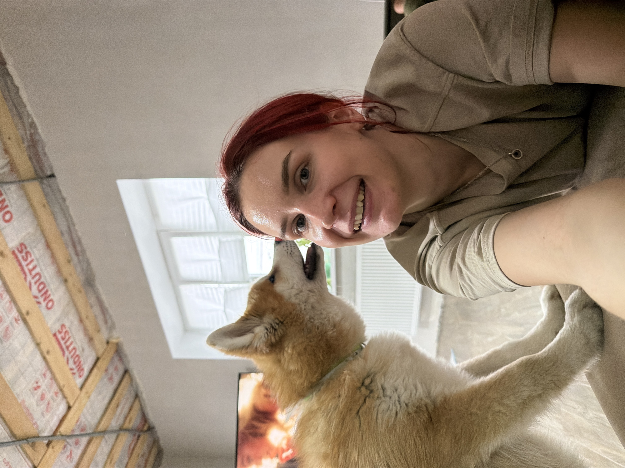 An indoor, close-up, upward-angle selfie captures a happy woman and a dog interacting affectionately. The woman, with red hair and wearing a light-colored hooded top, smiles widely at the camera while holding the phone. Her gaze is also directed towards the dog, whose nose touches her face. The dog, with light brown and cream fur and wearing a light green collar, looks up at the woman, appearing playful or seeking attention.
The setting is a room with a large window and white blinds visible in the background, suggesting daytime. To the left, a wall shows signs of construction or renovation, with exposed wooden framing and white insulation material. The insulation has the word "ONDUTISS" printed repeatedly on it. In the lower background, a television screen displays what appears to be a scene with orange hues, possibly fire or a dramatic setting. The overall mood is warm and joyful, reflecting a bond between the woman and her pet. The location context is Chaikovsky, Russia.