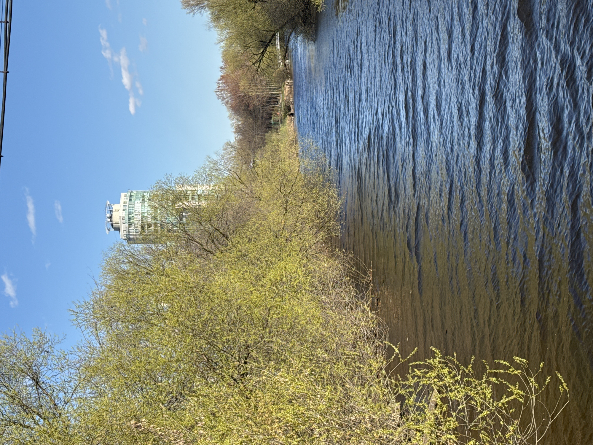 The image shows a river with trees on the left bank and a building in the background, taken on a sunny day with a few clouds in the blue sky. The river's surface is rippled, with a dark blue to brown color gradient suggesting varying depths or light reflection. The trees on the bank are a mix of bare branches and early spring foliage with light green leaves. In the background, a tall modern building stands among the trees. The location appears to be in Saint Petersburg, Russia, based on the architectural style of the building and the overall landscape typical of the region.