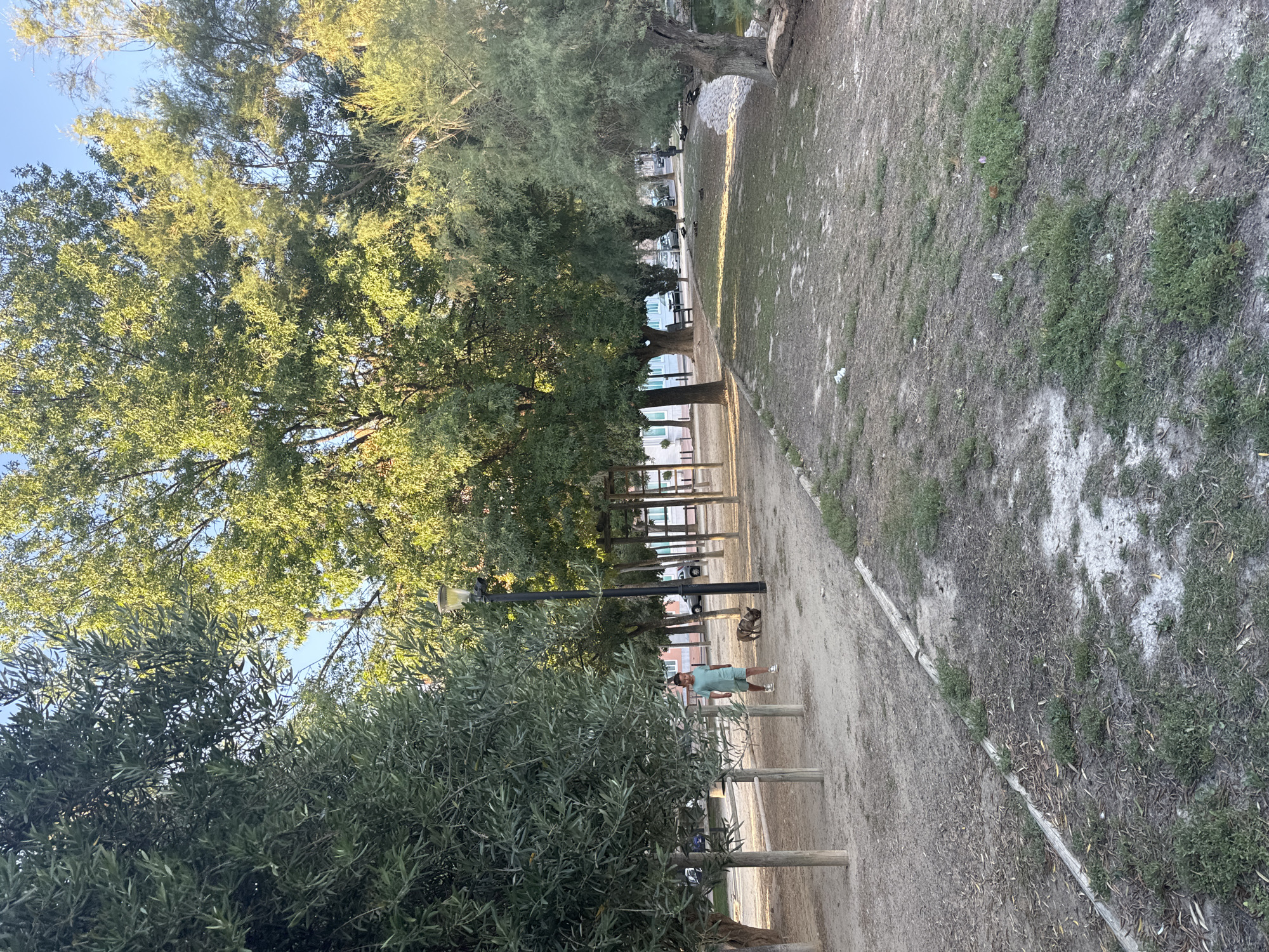In a park-like setting, a young person wearing a teal t-shirt and shorts walks with a small, brown dog on a leash. The ground is a mix of dirt and sparse grass, with fallen leaves scattered about. Several trees, some with dense foliage and others more sparse, line the pathways. In the background, there are more trees, a street with cars parked along it, and buildings. A lamppost stands near the pathway. The scene appears to be a public area in Murcia, Spain, possibly along the Segura River.