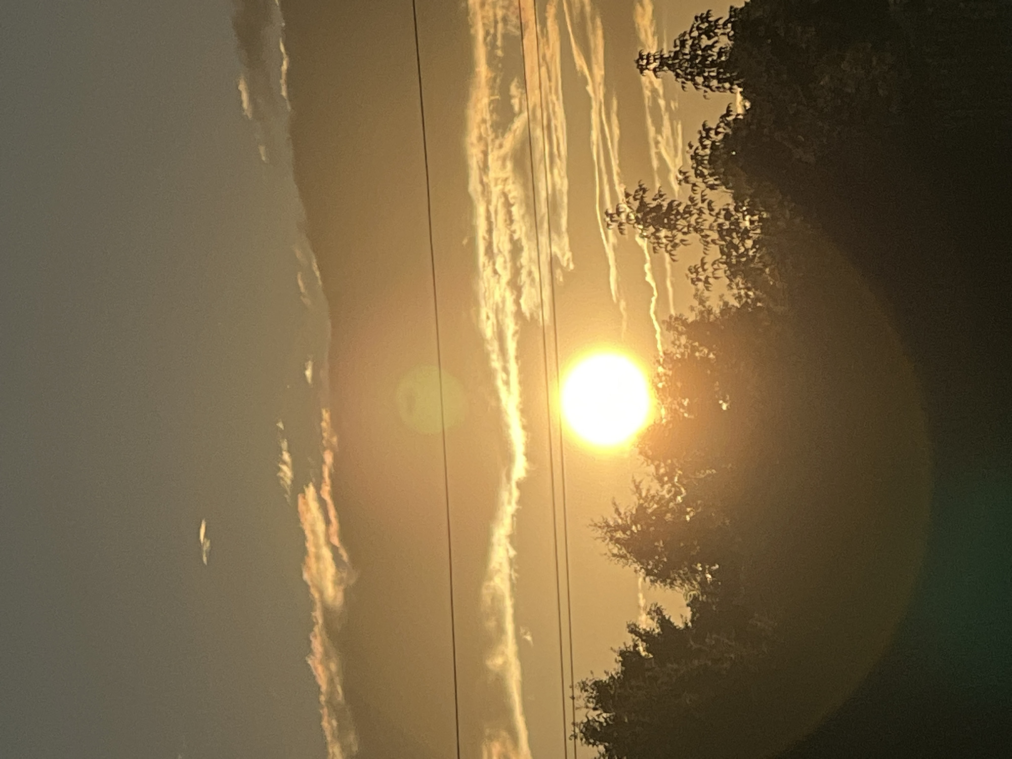 A photograph captures a sunset over a city skyline. The sun, a brilliant white orb, is partially obscured by the silhouettes of trees in the foreground. wispy clouds, tinged with orange and yellow, stretch across the sky. Two thin, dark horizontal lines, likely power lines, bisect the frame. The sky transitions from a pale orange near the horizon to a muted gray at the top. The overall lighting suggests late evening or early morning.