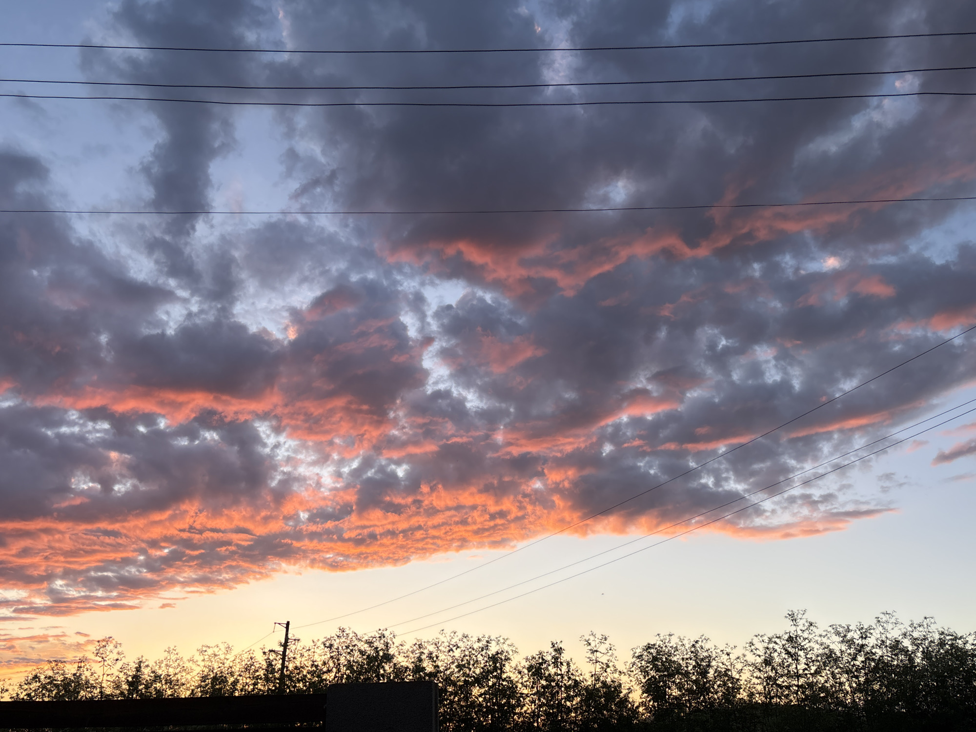 The image displays a dramatic sunset or sunrise over Pchelnik, Bulgaria, characterized by a striking interplay of colors in the sky. The lower portion of the sky features a bright, warm glow of yellow and light orange, indicating the sun's position just below the horizon. Above this, a large expanse of clouds is brilliantly illuminated from underneath, showcasing vivid shades of orange and pink, which gradually blend into darker grey and purple tones higher up. The uppermost part of the sky is a muted blue-grey, with scattered, darker clouds.
Several thin, dark power lines stretch horizontally across the sky, intersecting the colorful clouds and appearing as stark, straight lines against the natural backdrop. In the foreground, a dark silhouette of dense trees or bushes forms a jagged line along the bottom of the frame. A dark, linear structure, possibly a fence or wall, is partially visible beneath the foliage. A utility pole is faintly discernible on the right side, extending from the treeline towards the power lines.
No people or specific activities are visible, emphasizing the natural beauty of the twilight sky. The image conveys a sense of peacefulness and natural grandeur, with the vibrant cloud formations being the focal point. No text is visible in the media file.