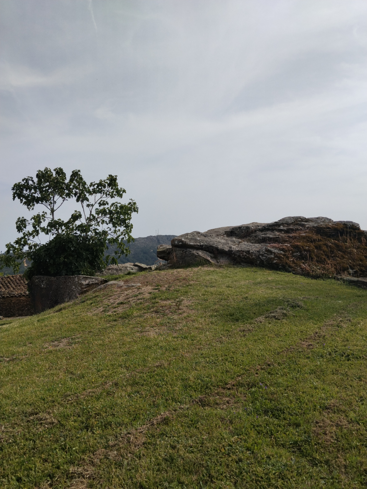 The image depicts a grassy hill with a large rock formation in the right-center, and a tree to the left. Part of a building, possibly a roof, is visible to the left of the tree. The scene is set against a cloudy sky and a distant mountainous backdrop. The location is Mogadouro, Portugal. There are no people visible in the image.