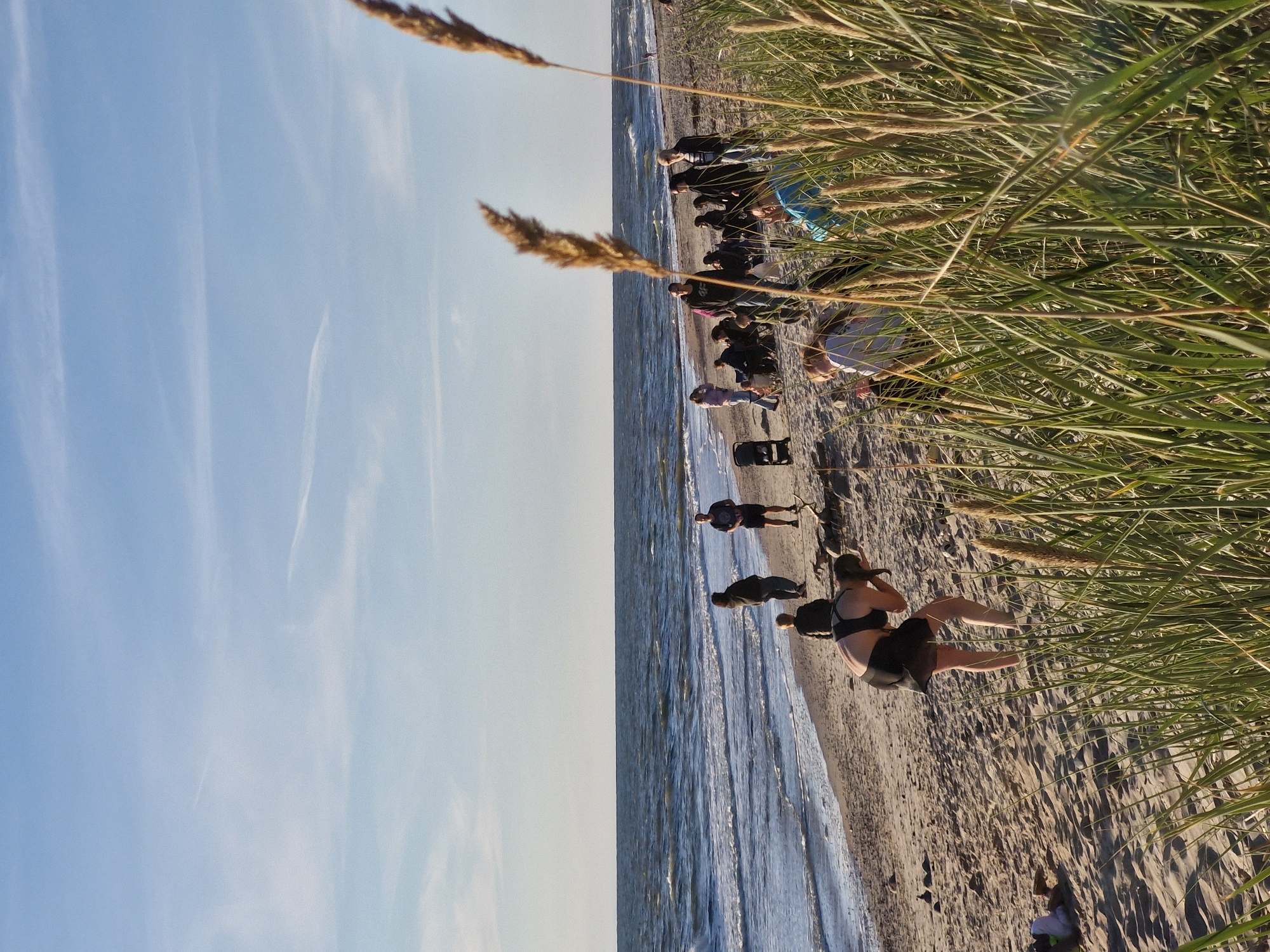 A vertical, eye-level, medium shot captures a serene beach scene under a bright, partly cloudy sky. The foreground is dominated by tall, golden-brown grasses that partially obscure the view of the beach and ocean. The sand is a light tan color and appears slightly damp near the water.
In the mid-ground, a group of people are scattered across the beach. Some are standing, while others are seated on chairs or on the sand. A woman in a black outfit is bent over, facing away from the camera, with her hand near her face. Further back, a group of people are gathered, some standing and some sitting. One individual is wearing a black jacket, another a blue shirt, and a third a striped shirt. A black stroller is visible near a group of people.
The background features a dark blue, choppy ocean with white-capped waves crashing onto the shore. The horizon line is distinct, separating the ocean from a pale blue sky with wispy white clouds. The overall impression is one of a calm, late afternoon gathering at the beach.