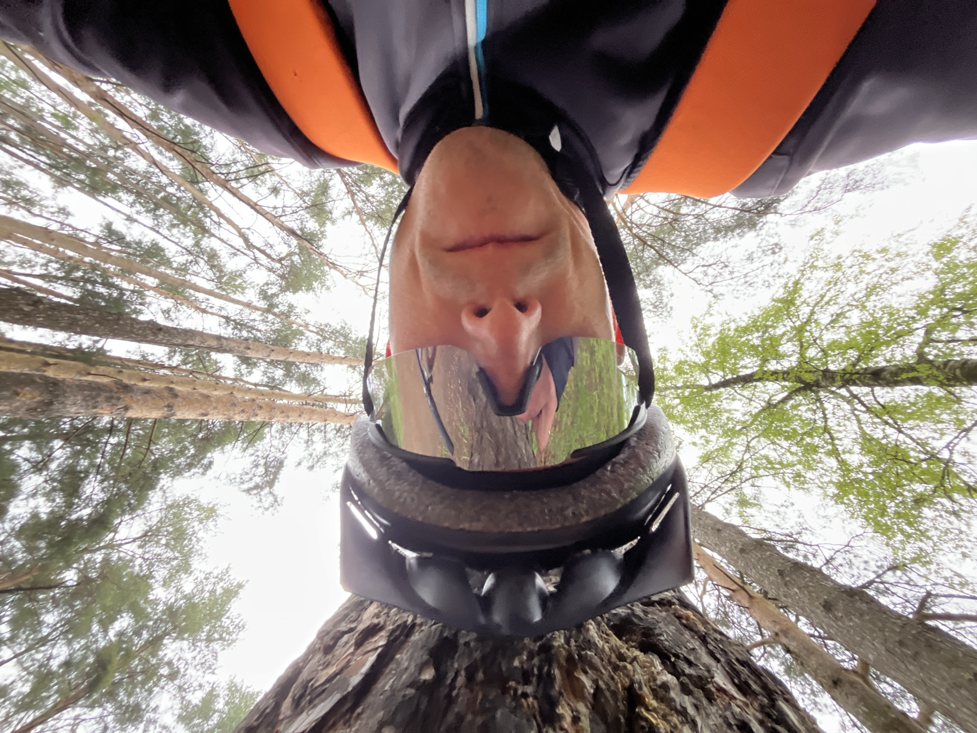 A person wearing a helmet and reflective sunglasses is positioned with their head pointing downwards, towards the base of a tree trunk. The view is from a low angle, looking up through a forest of trees with green foliage and a white sky. The person is wearing a grey and black jacket with orange straps. The location is outdoors, likely in a wooded area. There is no explicit indication of the city of Chaikovsky, Russia.