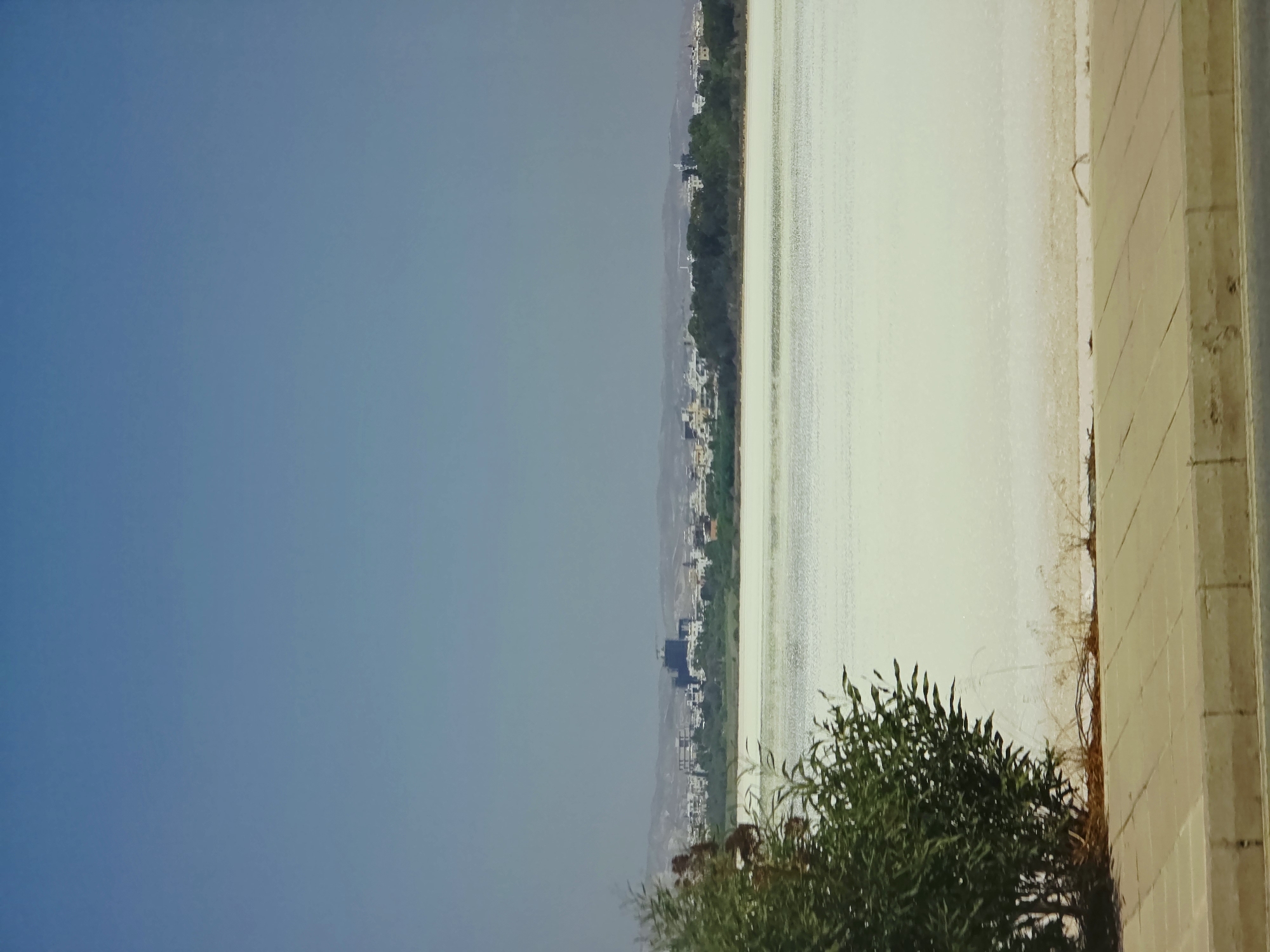 The image depicts a wide, white, salt-covered expanse that appears to be the Larnaca Salt Lake in Larnaca, Cyprus, under a clear, pale blue sky. In the distance, a city skyline with various buildings, including a prominent dark structure, is visible behind a line of green trees and vegetation. The foreground features a paved walkway made of beige square tiles, bordered by a concrete curb and a section of darker asphalt road. To the left, a dense green bush with dark branches is partially visible, with dry, brown vegetation scattered at its base and along the edge of the walkway. The overall scene suggests a sunny, dry environment.