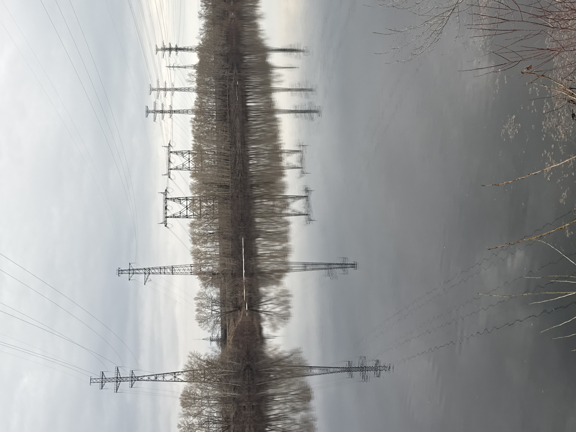 The image depicts an upside-down view of a landscape, likely a river scene. The sky is overcast and grey. The primary objects are power lines supported by metal towers spanning across the scene. These towers and the associated power lines are reflected in the water below, along with a line of bare trees along the riverbank. Some vegetation is visible on the right side of the image. The location is in Chaikovsky, Russia.