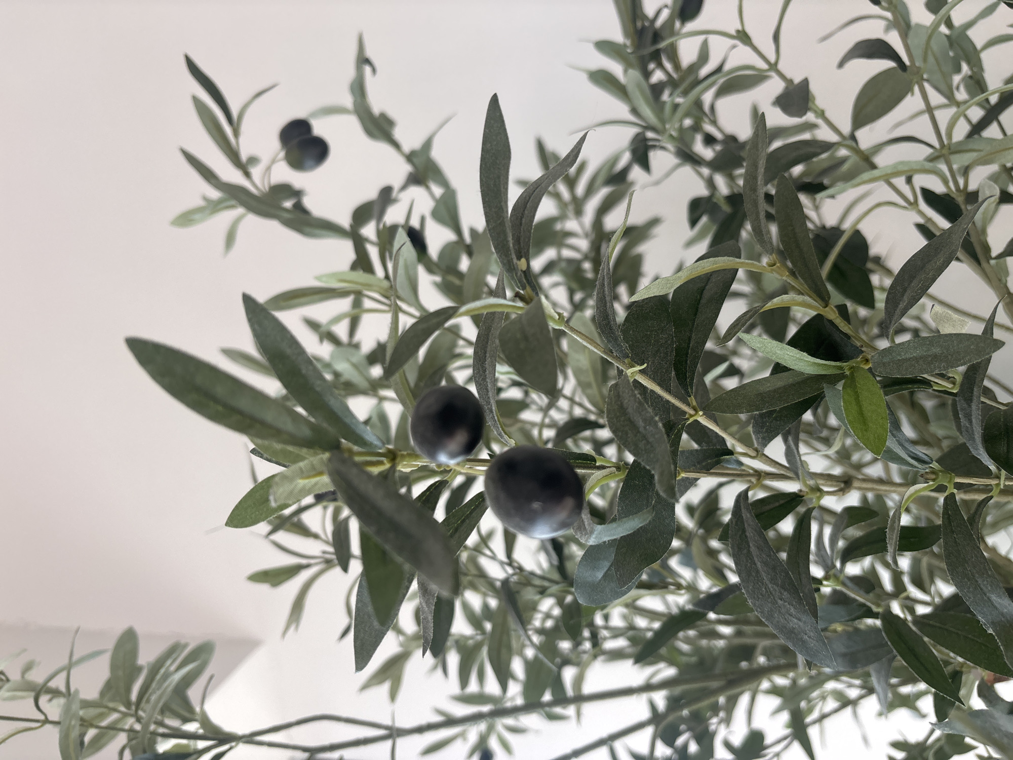A close-up, slightly angled, eye-level shot captures a cluster of artificial olive branches with dark green leaves and several dark purple olives against a plain white background. The lighting is soft and diffused, with no discernible shadows. The scene does not provide enough information to determine the location within Dubai, United Arab Emirates, or any environmental context beyond the artificial foliage and the white backdrop. There are no people or actions depicted.