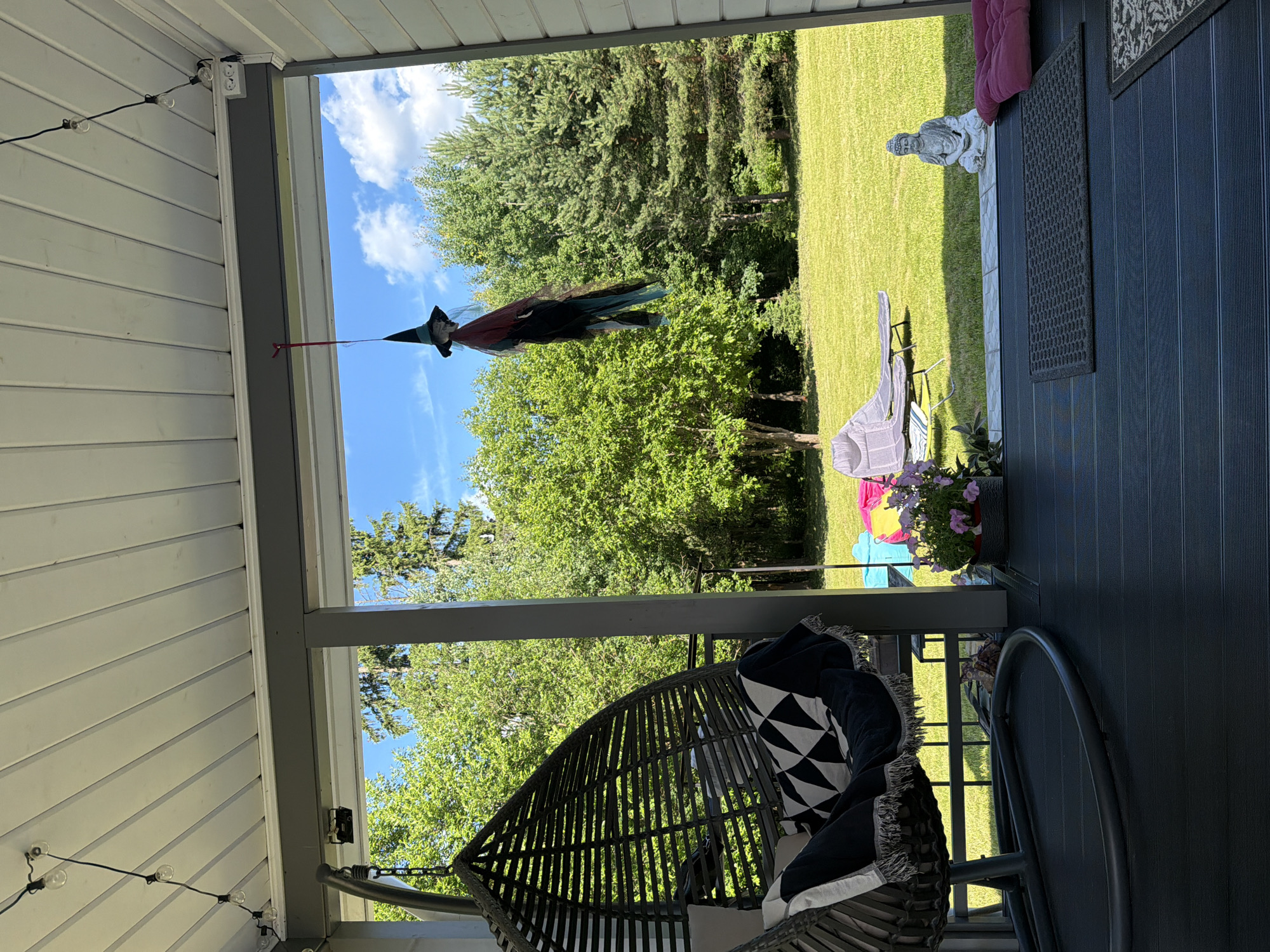 The image depicts a view from a covered porch looking out onto a grassy backyard. In the foreground, a dark grey woven hanging chair with black and white patterned cushions and a throw blanket is visible on the left. To the right, on the porch floor, are two dark grey mats and a pink cushion. A potted plant with pink flowers sits near the edge of the porch.
Suspended from the porch ceiling by a red string is a decorative witch with a black pointed hat, a black dress, and multicolored streamers. In the background, a green lawn is dotted with trees and bushes. Beyond the lawn, a bright blue sky with scattered white clouds is visible. On the lawn, a grey lounge chair and a colorful inflatable object are present. A small statue of a seated Buddha is located on the porch to the right, near the edge of the lawn. The scene appears to be a residential setting, possibly a backyard in Алешкино Дп, Russia, during daylight hours.