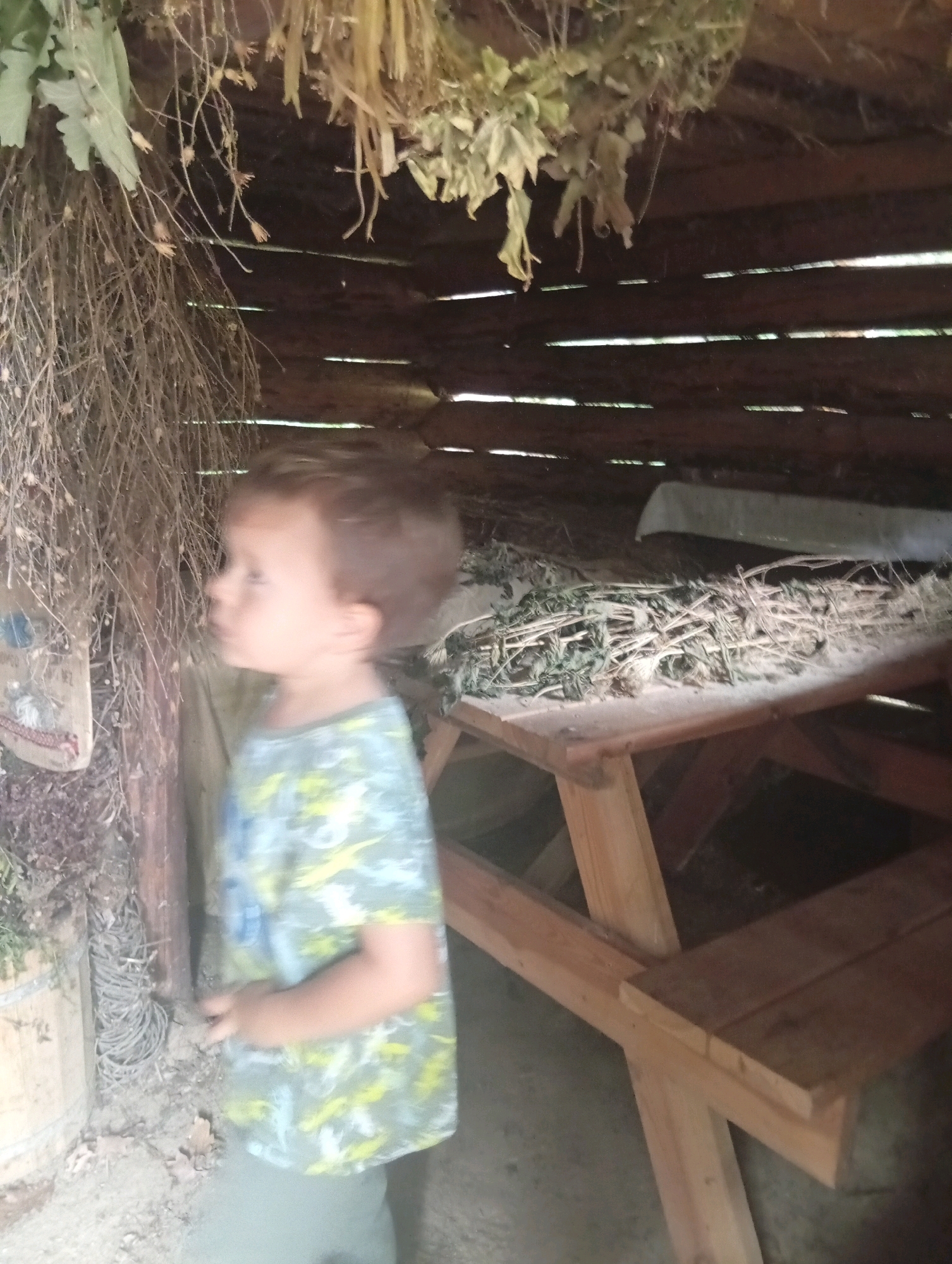 In a rustic wooden structure, possibly a shed or an outdoor shelter, a young boy with light brown hair is viewed from the side. He is wearing a short-sleeved shirt with a camouflage pattern of green and yellow. His gaze is directed to his left, outside the frame of the image.
The environment within the structure appears to be filled with dried plants and herbs hanging from the ceiling and stored on a wooden table or bench. The walls and ceiling are constructed from rough wooden planks. To the left of the boy, a wooden barrel and some coiled rope are visible on the ground. A wooden table with benches is also present, laden with more dried vegetation. The overall atmosphere suggests a rural or natural setting, possibly related to agriculture or the preparation of herbs. The location is identified as Będkowice, Poland.