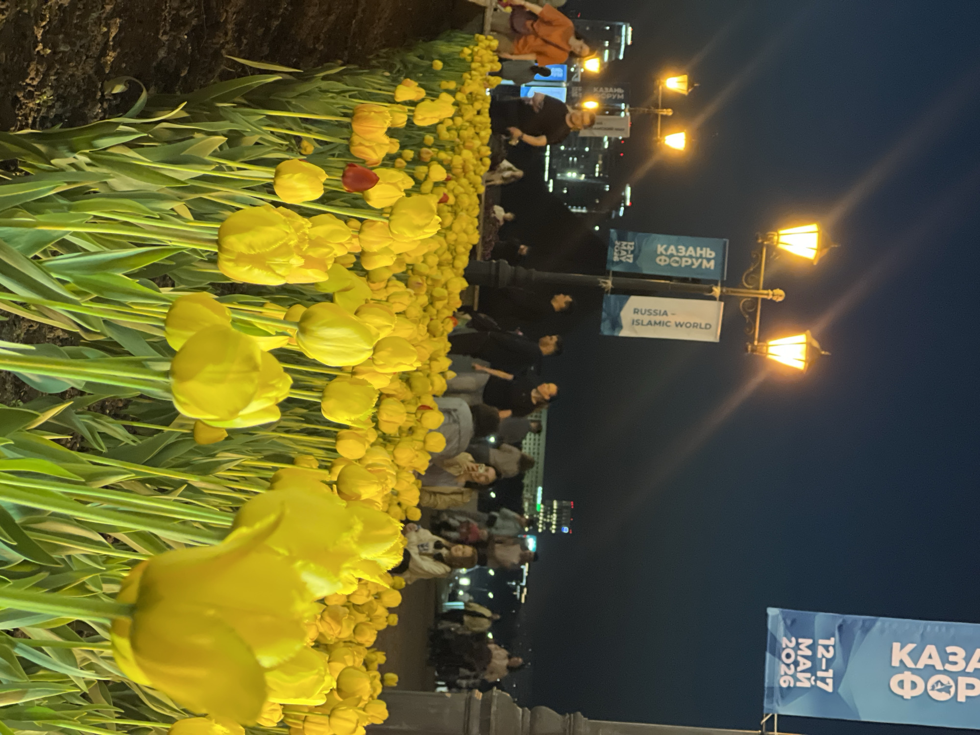 A field of yellow tulips in Kazan, Russia, lines a walkway crowded with pedestrians. A street lamp casts a glow on the scene, where banners for the Kazan Forum can be seen. The banner indicates that the event occurs from May 12 to May 17, 2026. A second banner reads "Russia - Islamic World." In the background, city buildings are visible.