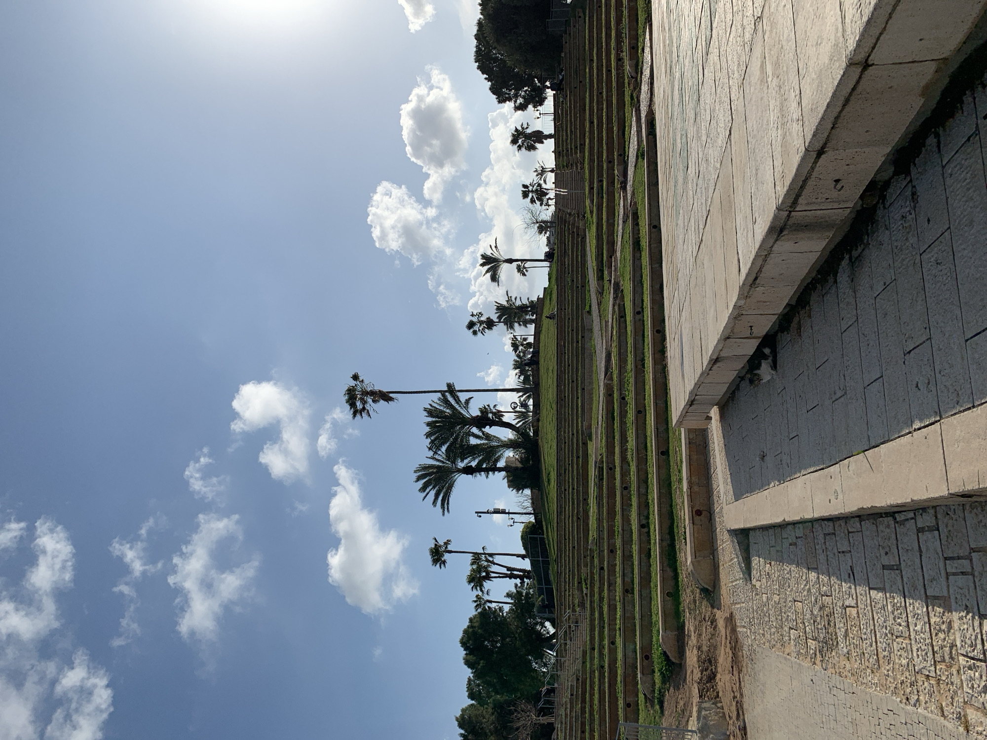 This image captures a daytime scene at Gan HaAtzmaut (Independence Park) in Tel Aviv, Israel, depicting an outdoor amphitheater-style landscape. The sky is light blue with scattered white cumulus clouds, and the sun, positioned in the upper right, casts strong highlights and shadows across the scene.
In the immediate foreground, a light-colored paved area of large stone slabs occupies the bottom right, bordered by a raised stone curb running horizontally. To the left of this curb, a cobbled pathway extends towards the left, adjacent to a patch of disturbed earth. A small, light-colored cat with brown and white tabby markings is observed resting in the shadow beneath the raised curb on the paved area.
The mid-ground features a series of ascending, semi-circular tiers composed of concrete or stone steps with interspersed sections of green grass, forming an amphitheater. Small circular openings are visible along the front edges of several concrete tiers. A central stone staircase ascends through the middle of these tiers, leading to a higher, grassy plateau. A metal railing is partially visible on the far left, near the lowest tiers.
On the elevated plateau and against the sky, numerous tall palm trees with dark fronds are prominent, some appearing to be silhouetted. Other evergreen trees with dense foliage are visible, particularly on the left side of the frame. Several indistinct human figures are visible on the upper tiers and on the higher ground; one dark figure is seated on an upper grassy tier to the left, and other figures are present near the top of the central stairs and further right on the elevated terrain.
