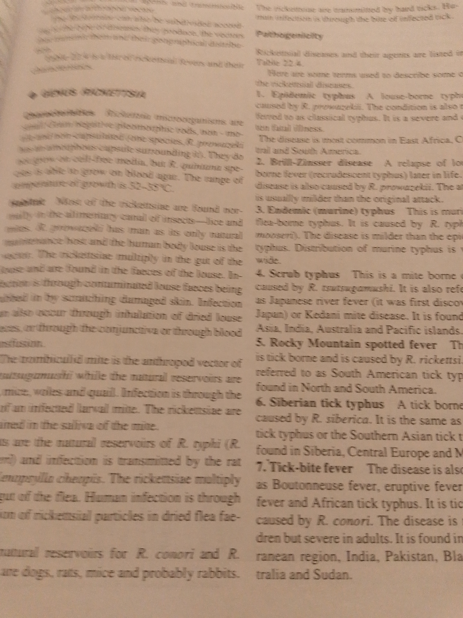 The image is a close-up of a page from a textbook or scientific document discussing rickettsial diseases. It contains text in English, organized into sections with headings like "Pathogenicity," "Genus Rickettsia," and descriptions of various types of typhus and tick-borne fevers. The content details the characteristics of rickettsiae, their transmission, and the diseases they cause. There is no information within the image that relates to the city of Jalingo, Nigeria, nor does it depict any scene or event. It is purely informational text on a printed page.
