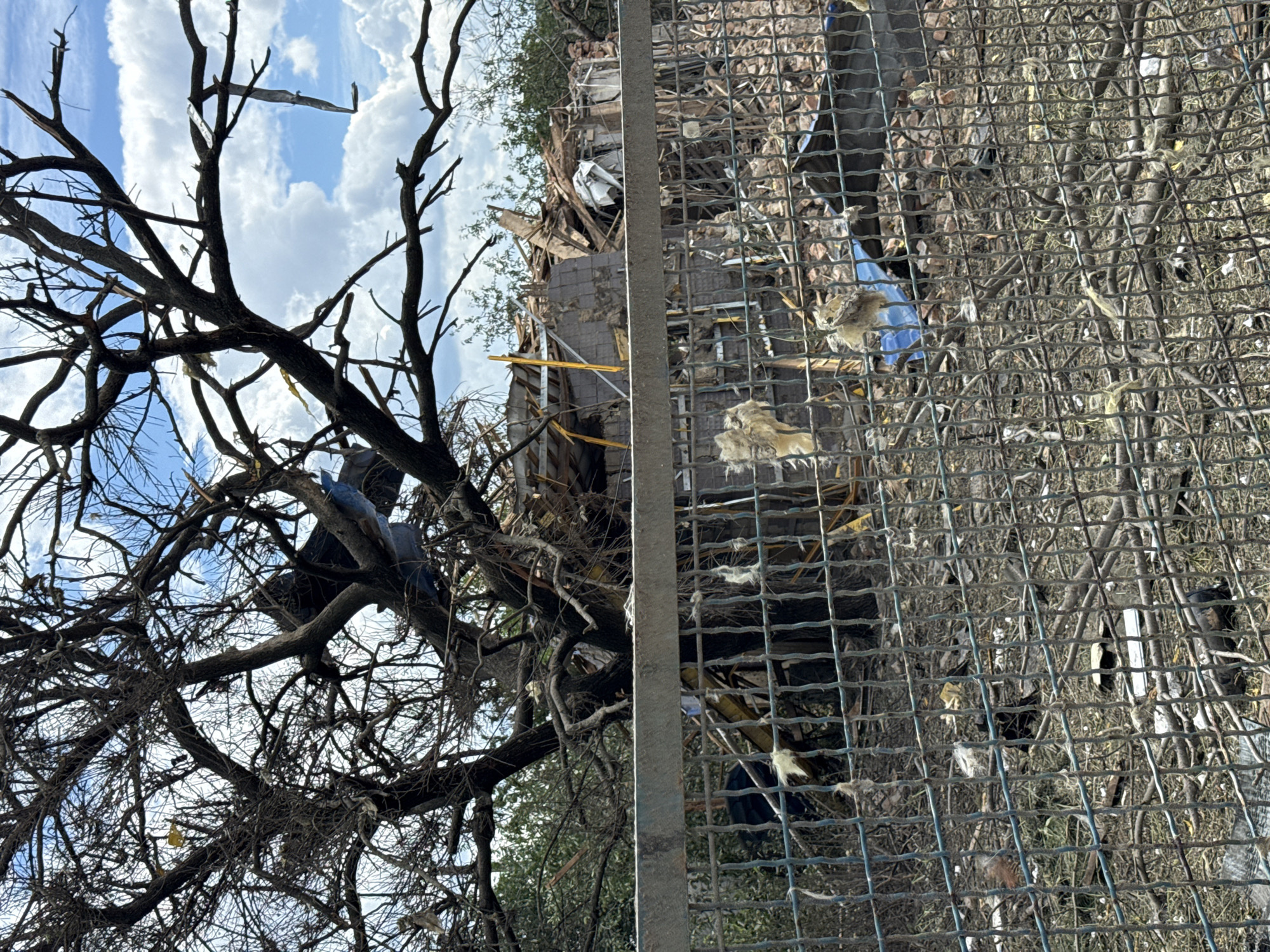 In Kyiv, Ukraine, a heavily damaged tree stands in the foreground, its branches bare and tangled. Behind the tree, a scene of destruction unfolds. A building has been reduced to rubble, with debris scattered everywhere. The wreckage suggests a significant impact, possibly from an explosion or a collapsed structure. A metal fence, partially obscured by debris, separates the viewer from the devastated area. The sky above is partly cloudy, with patches of blue peeking through. The overall impression is one of devastation and aftermath, with the natural elements of the tree and sky providing a stark contrast to the man-made destruction.