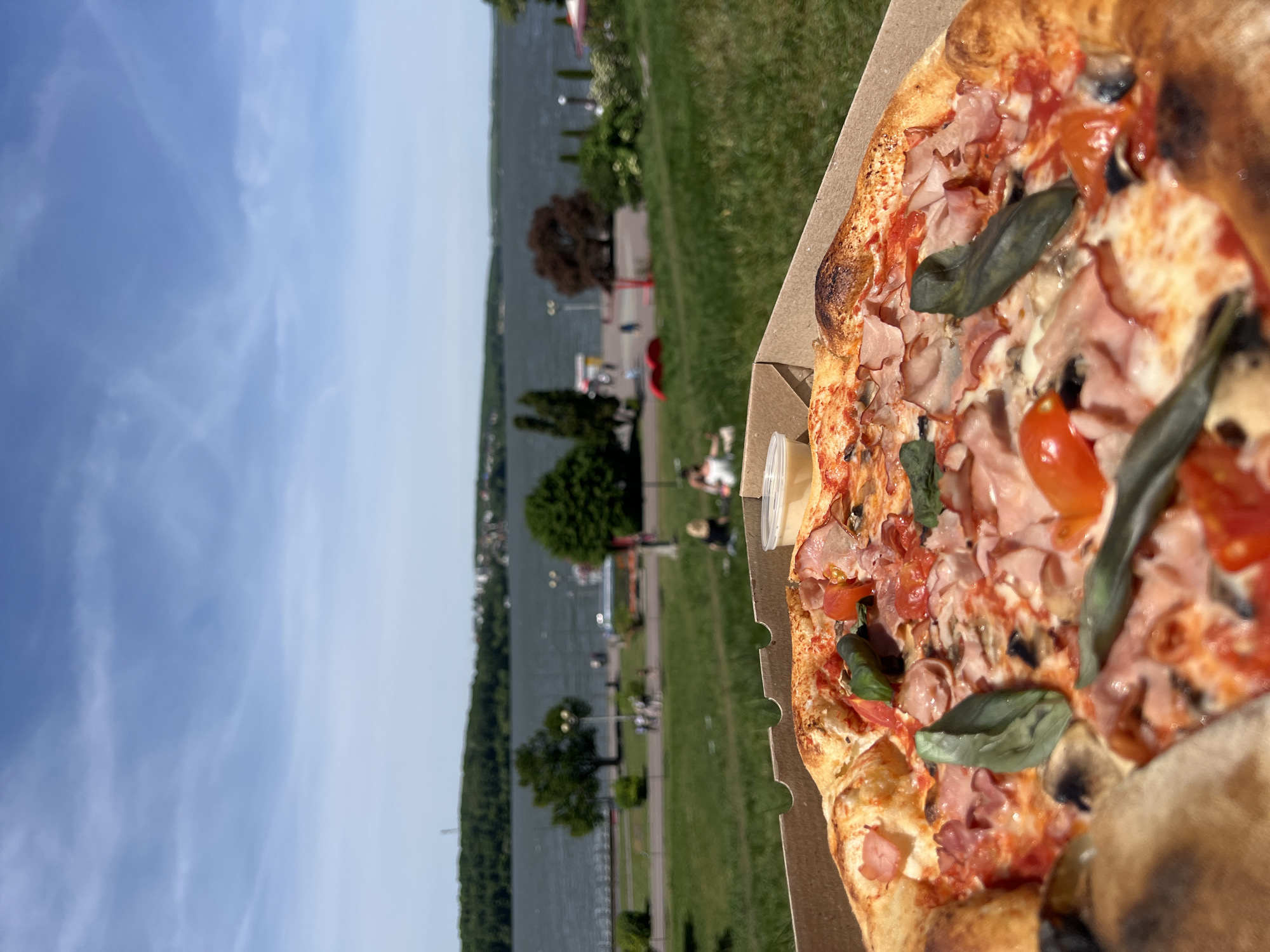 A close-up, high-angle shot shows a partly-eaten pizza in a cardboard box, set against a background of a park and lake in Ternopil, Ukraine. The pizza toppings include tomato, ham, basil, and cheese. A small container of sauce rests next to the pizza. The park has green grass, trees, and a paved walkway alongside the lake. People can be seen walking and sitting in the park. The lake extends to the horizon under a cloudy sky.