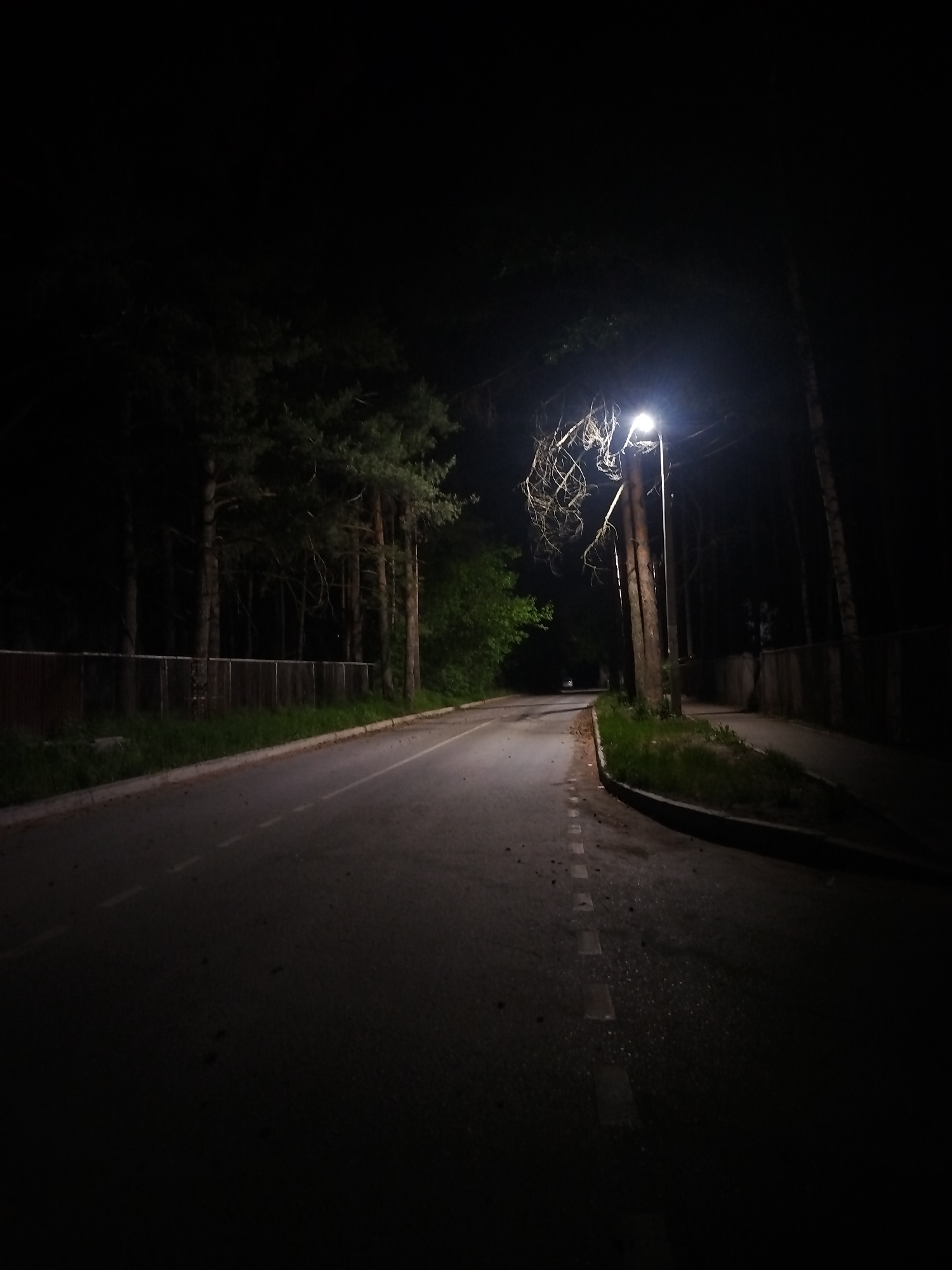 The image shows a dark, deserted road at night. A streetlight illuminates a section of the road, revealing its asphalt surface and white dashed lane markings. Trees line both sides of the road, casting long shadows and obscuring the surroundings. A fence runs along one side of the road, separating it from the trees. The location is in the city of Unknown, Unknown.