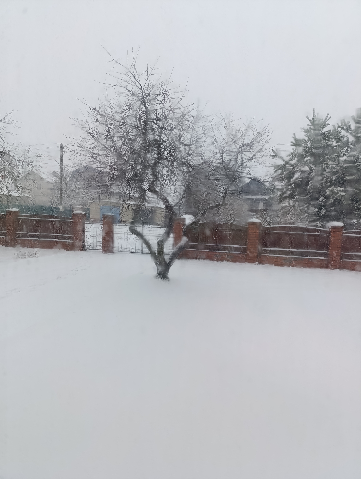 A winter scene is depicted with heavy snowfall blurring the background. In the foreground, a snow-covered yard contains a bare tree with twisting branches. A red brick fence with iron gate sections runs across the mid-ground. Several residential houses are visible through the snow and trees in the background. The location is Unknown, Unknown. No people are visible.