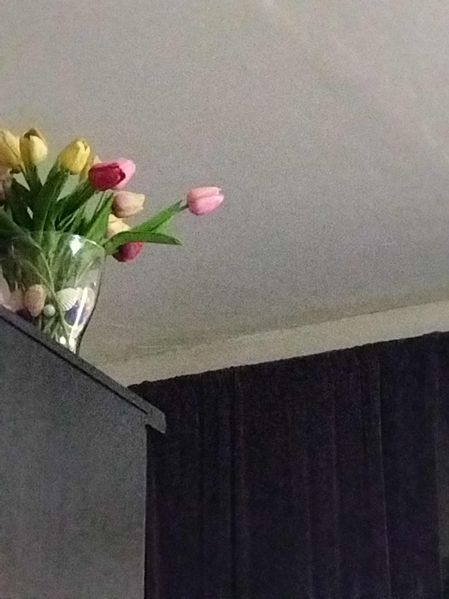The image shows a vase filled with tulips, predominantly yellow and pink, placed on top of a dark-colored cabinet or piece of furniture. The vase appears to contain seashells. Behind the furniture, there are dark curtains. The location is not discernible from the image.
