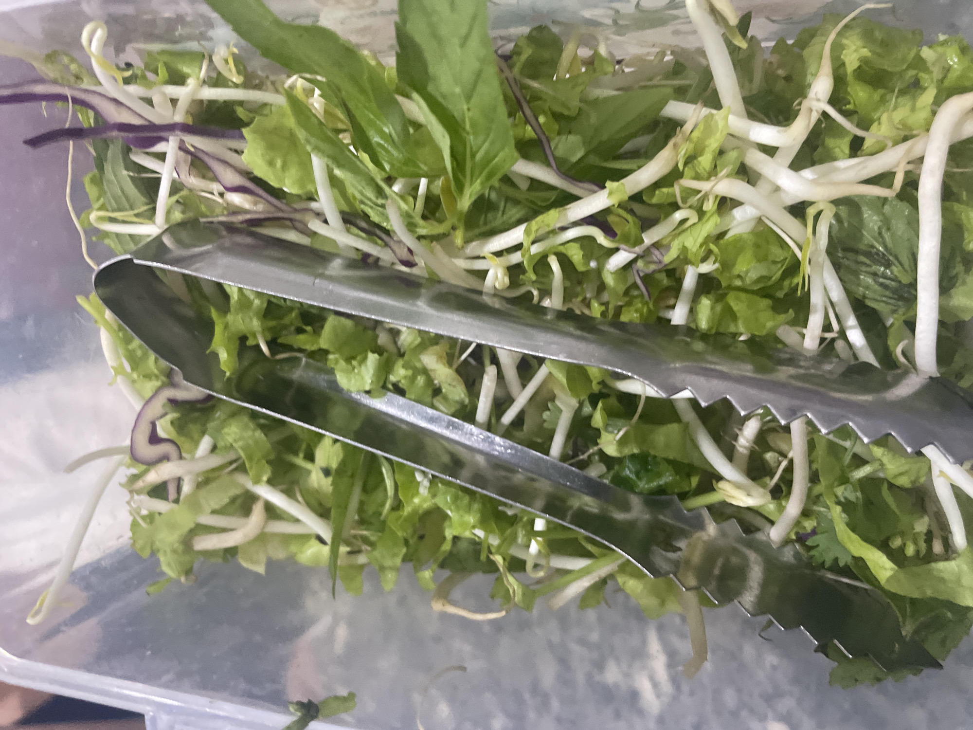 This media file shows a close-up, top-down view of a clear plastic container filled with fresh greens and bean sprouts. Metal tongs are placed horizontally across the container, partially obscuring the contents. The greens appear to be a mix of leafy vegetables, possibly including lettuce and herbs like basil, indicated by their distinct leaf shapes and vibrant green color. Some thin strands of purple, likely from red cabbage or onion, are also visible mixed within the greens. The bean sprouts are white and translucent, with their characteristic coiled stems. The overall impression is of ingredients prepared for a meal, likely a salad or a component of a Vietnamese dish given the context of Bac Nha Trang Ward, Vietnam. The lighting suggests an indoor setting, as there are no indications of natural daylight or specific weather conditions. No text is visible in the image.