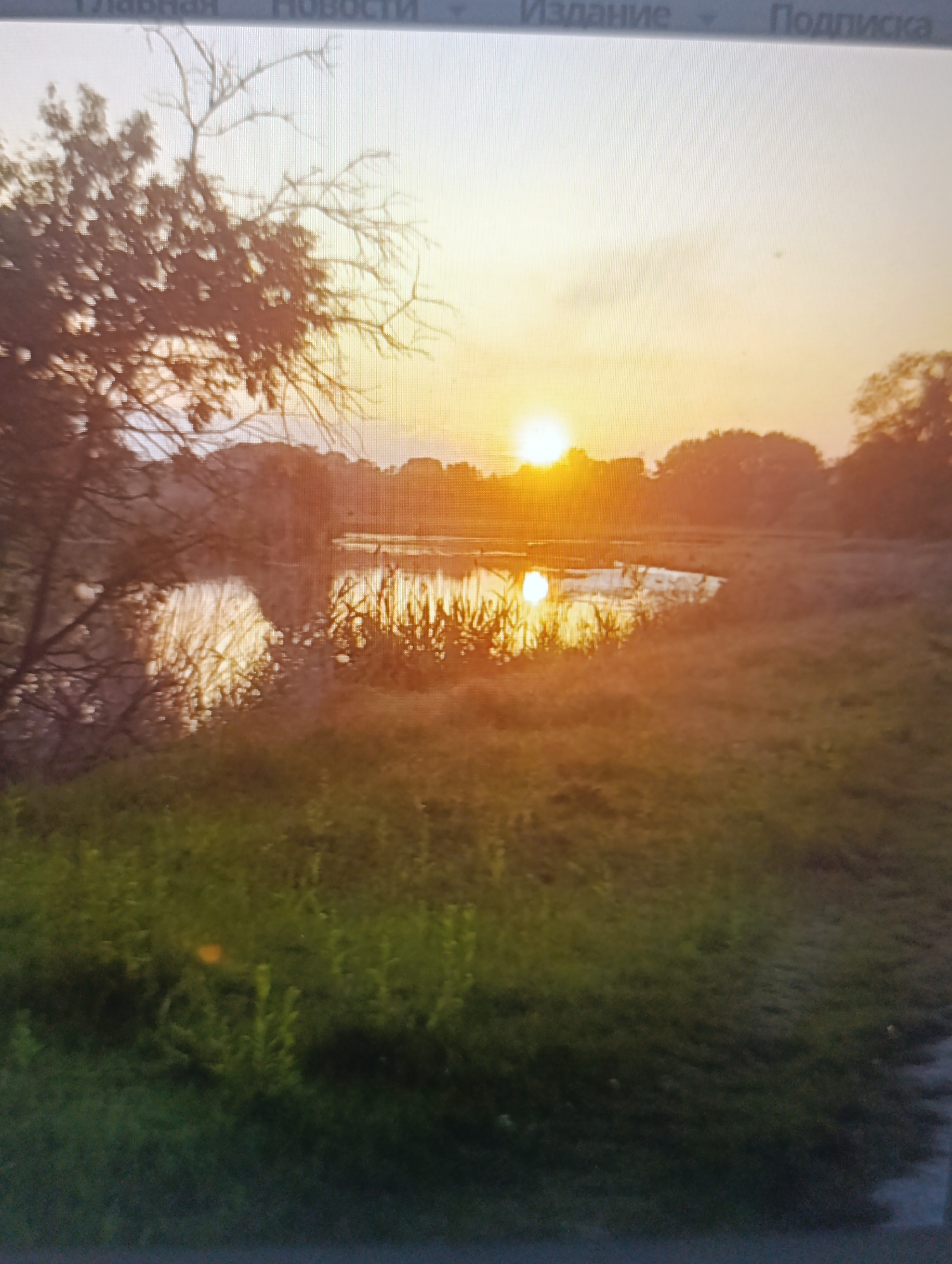 The image depicts a serene natural scene, likely a landscape at sunset. The sun, a bright orb, is low on the horizon, casting a warm, golden glow across the sky and reflecting on the surface of a body of water. Silhouetted trees frame the left side of the image, their bare branches stark against the luminous sky. The water, possibly a lake or river, is calm, with reeds or tall grass growing along its edges. The foreground is dominated by green grass and foliage, with some areas appearing darker and shadowed.
The time of day is clearly sunset, indicated by the low position of the sun and the warm, diffused light. The weather appears calm and clear, with the sky showing soft hues of orange, yellow, and a hint of pink. There are no people or specific objects that stand out, other than the natural elements of the landscape. The overall mood evoked by the image is one of tranquility and natural beauty.
At the very top of the image, faint text is visible, appearing to be part of a user interface or a web page. The visible words are in Russian and include "Главная" (Main), "Новости" (News), "Издание" (Publication), and "Подписка" (Subscription). These elements suggest the image may have been captured from a screen displaying a website or application.