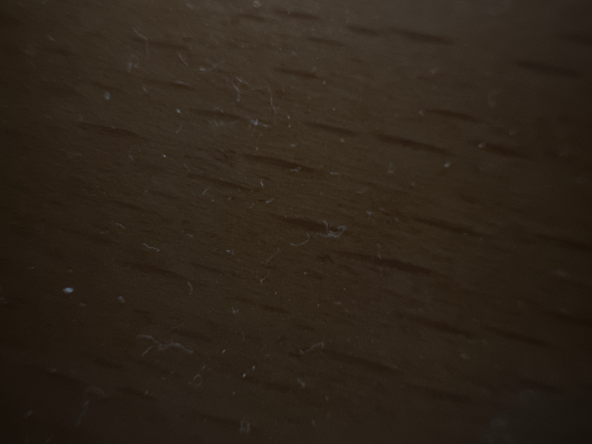 The image shows a close-up, overhead view of a dark brown, textured surface, possibly wood grain, with scattered small white specks and fine, wispy strands of light-colored debris. The texture appears to be the dominant feature. No specific location in Belgrade, Serbia can be determined from this image.