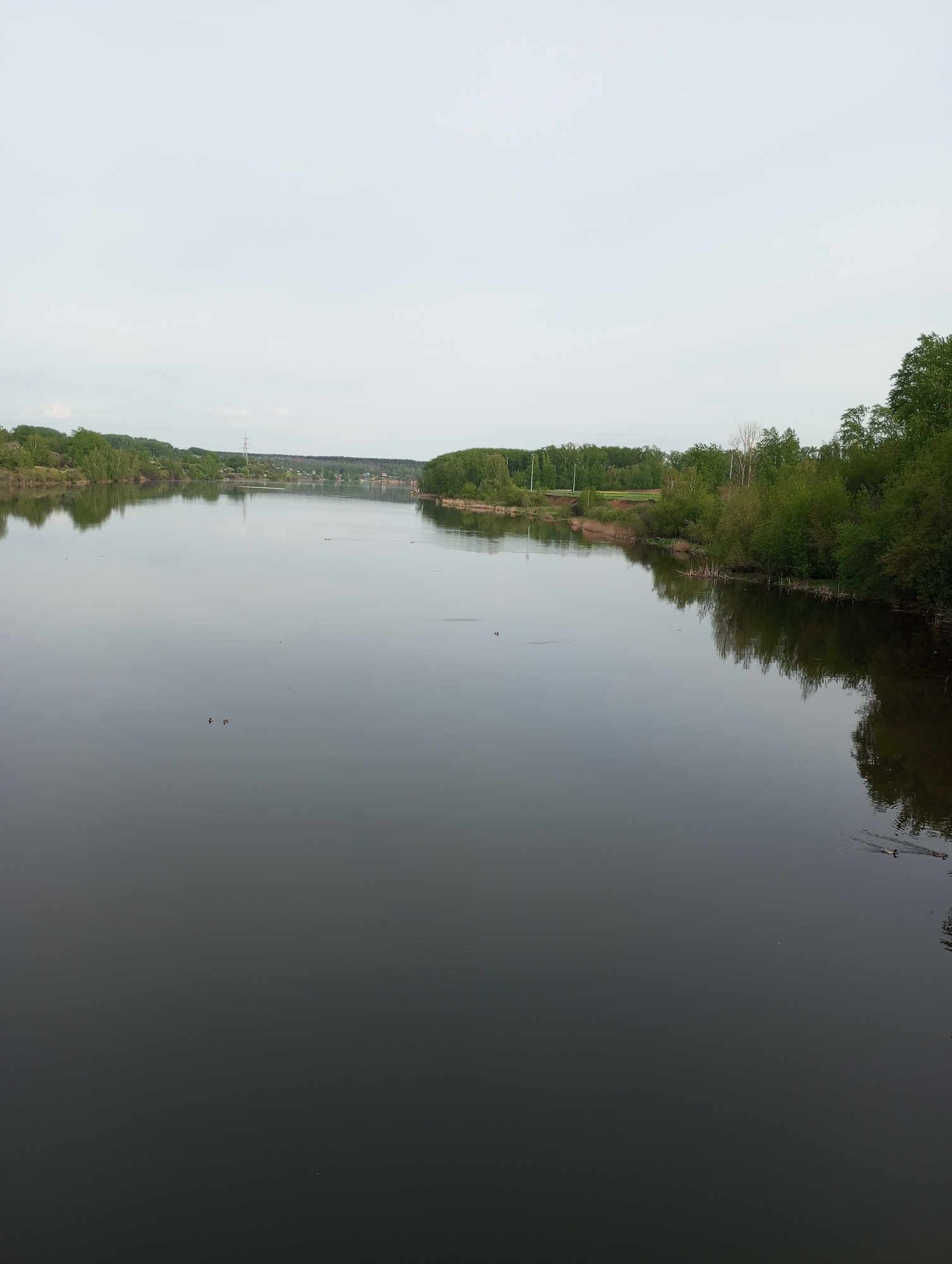This is a high-angle, long shot of the Iset River in Kamensk-Uralsky, Russia. The river flows in a relatively straight line from the mid-ground toward the viewer. The water surface is dark, with subtle reflections of the sky and trees along the banks. The riverbanks are lined with dense green trees and vegetation. In the distance, a transmission tower is visible on the left bank. Two ducks are present in the lower right corner of the river. The sky is overcast.