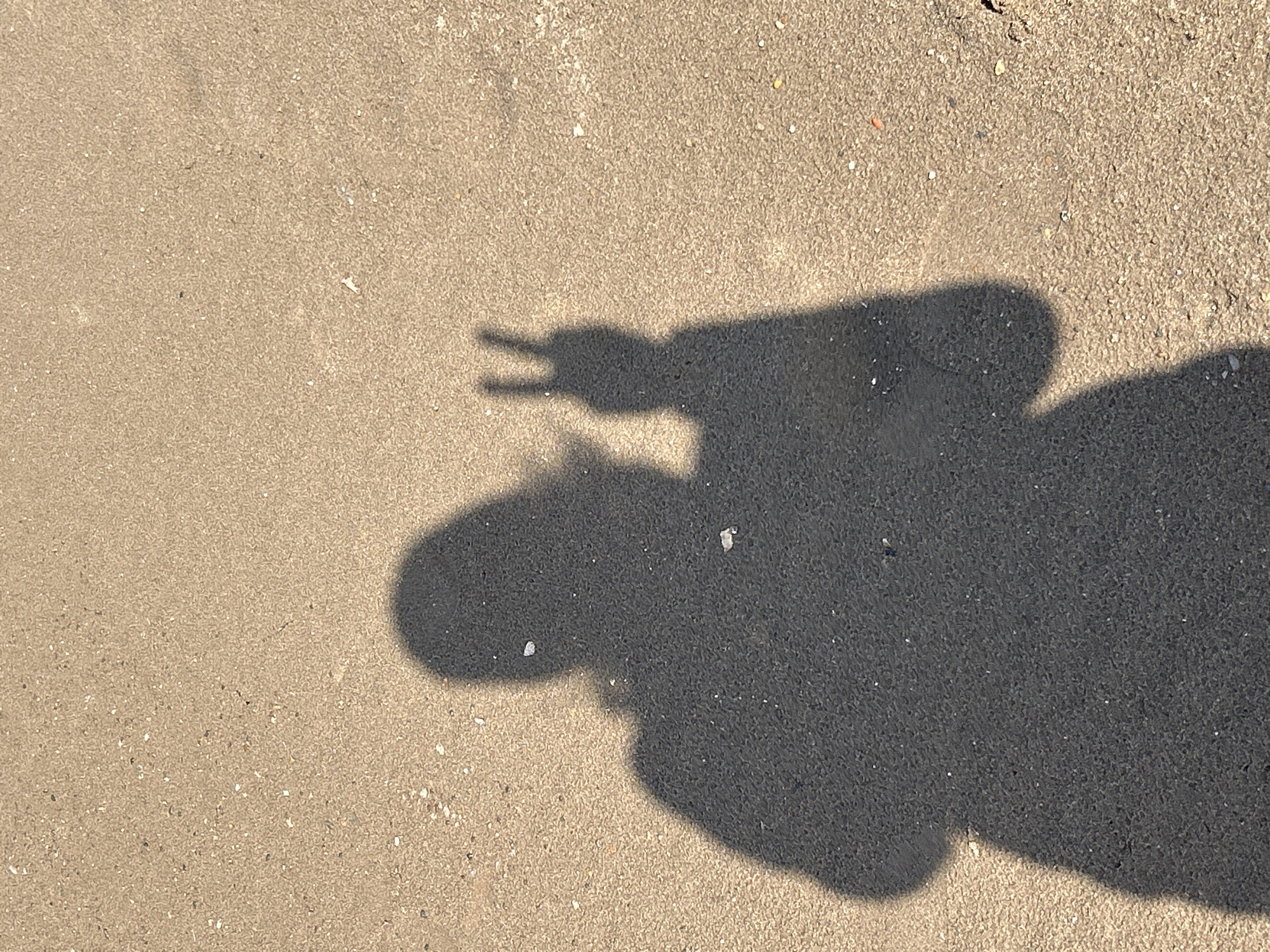 The image displays the dark shadows of two individuals cast upon a textured, light brown ground, consistent with sand or fine gravel. The shadows are distinct and elongated, suggesting a low sun angle, indicative of either early morning or late afternoon.
In the upper left quadrant, the shadow of a hand clearly forms a "peace" sign (V-sign) with two fingers extended upwards. Below and to the right of this, a larger, less defined shadow implies the presence of another person or a different part of the first person's body. The ground itself is speckled with tiny light-colored particles, possibly small stones or shell fragments.
The scene captures an outdoor moment, likely under clear, sunny skies, given the sharp definition of the shadows. The playful gesture of the peace sign suggests a relaxed and positive atmosphere. There is no visible text in the image. The setting is outdoors in Chaikovsky, Russia.