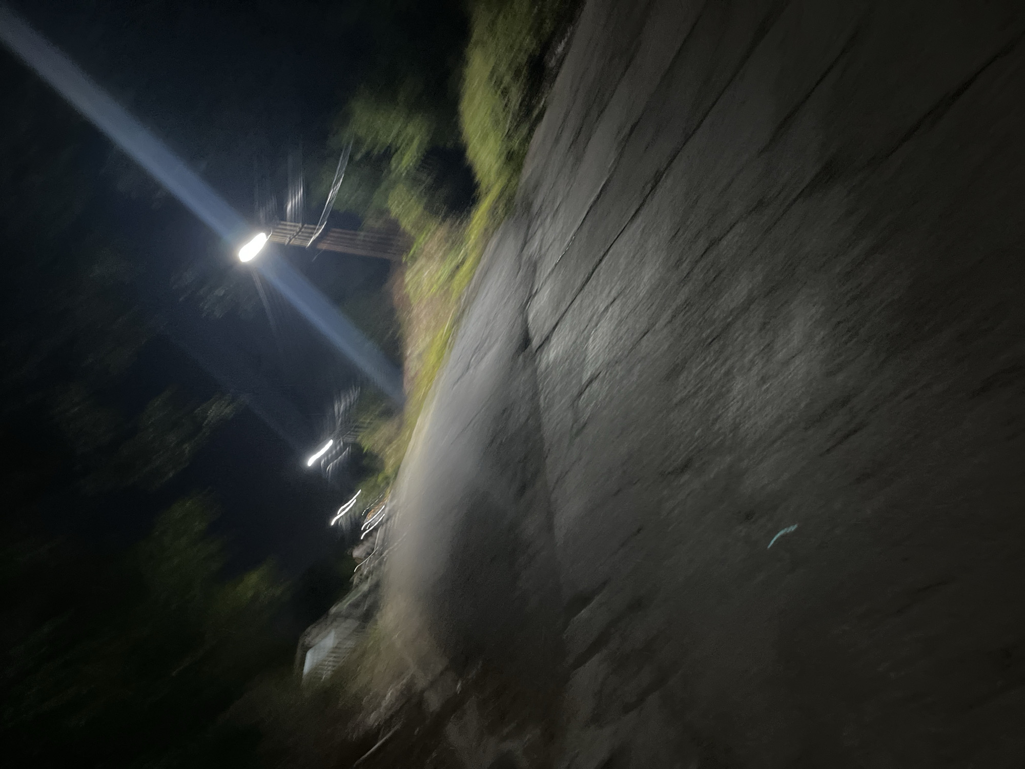 The image depicts a road at night in Santa Ana, Venezuela, illuminated by streetlights and possibly vehicle lights, creating motion blur. The road appears paved and slopes upwards from left to right. Vegetation lines the sides of the road, with some areas appearing grassy and others darker, suggesting trees or dense foliage. In the distance, several streetlights are visible, with one in the mid-ground casting a strong beam of light diagonally across the frame. The overall impression is that of a dimly lit, rural or semi-rural road during nighttime.