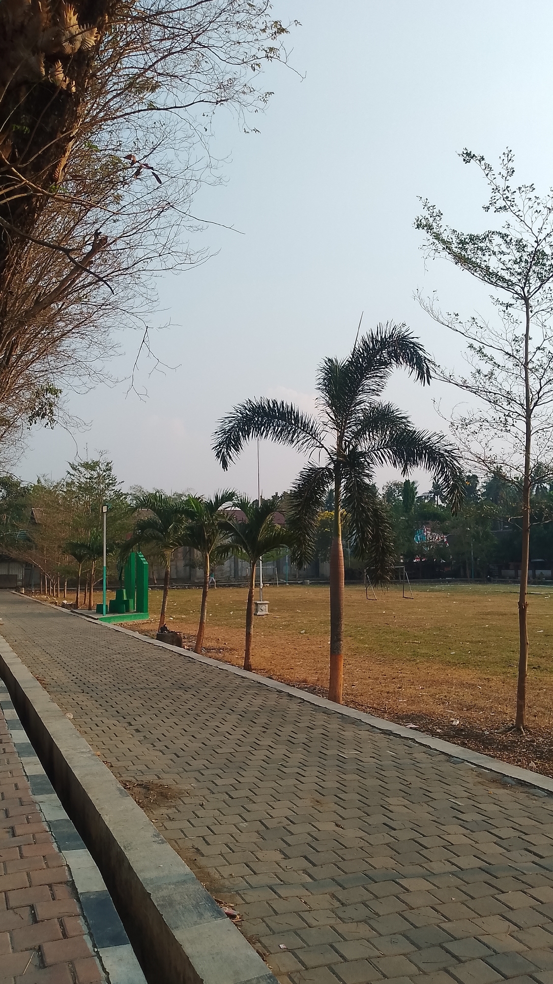 The image depicts a paved walkway in a park-like setting, likely in Karanglangu, Indonesia. The walkway is constructed with interlocking rectangular pavers in a herringbone pattern, bordered by a concrete curb. To the left of the walkway, a grassy area with scattered trees and a large, bare-branched tree is visible. In the background, there is an open field of dry grass, with several palm trees of varying heights planted along the edge of the walkway. Beyond the field, a line of buildings and trees suggests a residential or institutional area. The sky is clear and pale blue. The scene is devoid of people or any discernible action, presenting a quiet, outdoor environment.