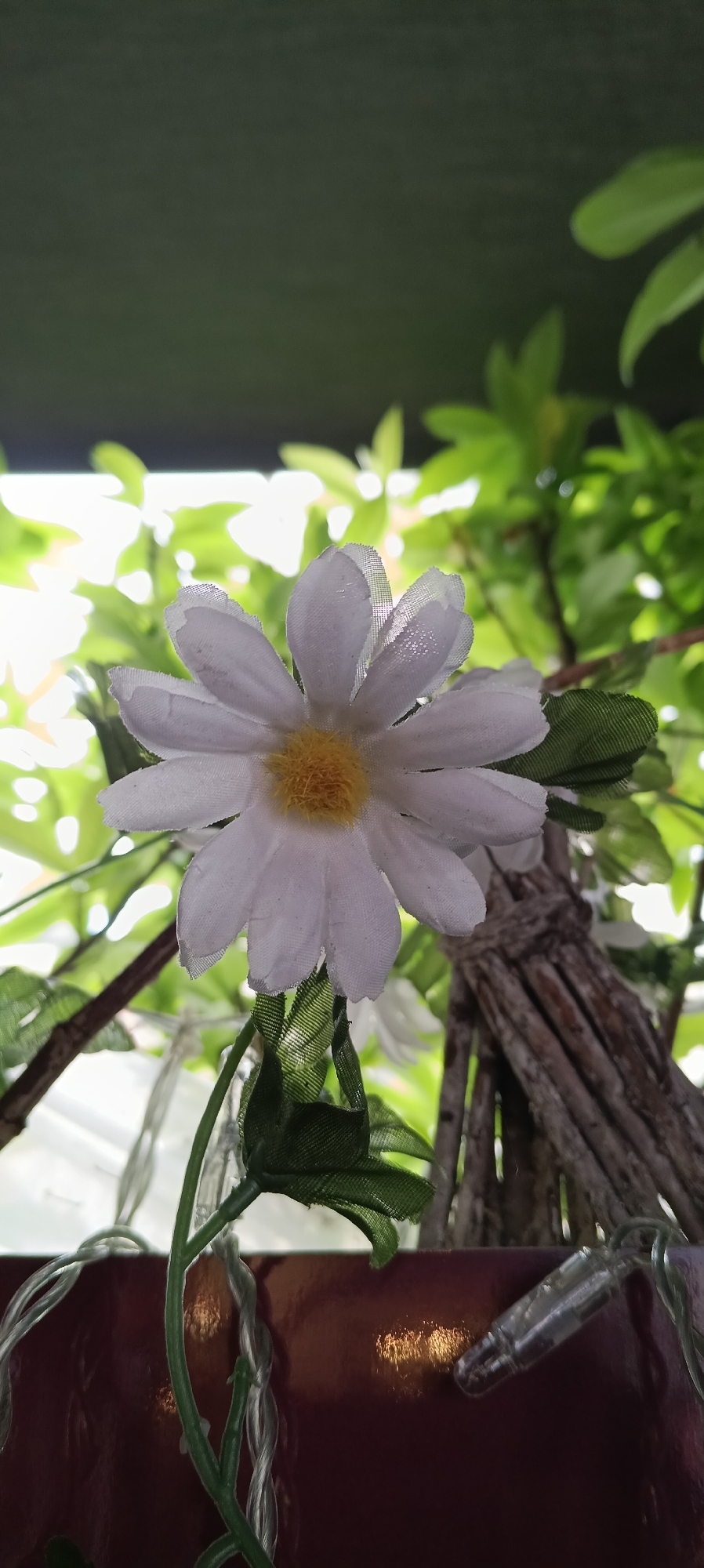 This is a close-up, vertical, outdoor photograph of a single white artificial daisy flower with a yellow center. The flower is positioned in the foreground, slightly off-center to the left, and is in sharp focus. It has multiple translucent white petals with visible textured edges. Behind the flower, the background is blurred and consists of lush green foliage, suggesting a garden or natural setting. Sunlight filters through the leaves, creating bright, soft patches of light.
On the right side of the image, a bundle of thin, brown twigs, tied together with a dark rope, is visible. In the lower part of the frame, a dark, reddish-brown surface is present, with a string of small, clear lights intertwined with green artificial stems and leaves.
There are no people or animals visible in the image. The overall impression is one of a decorative element within an outdoor environment, possibly a balcony or garden area. The image does not provide any specific clues about its location within the city of Wels, Austria.